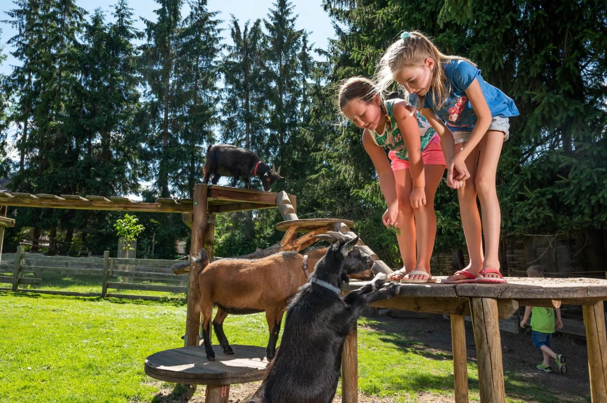 Garden in Bliem's Familienhotel