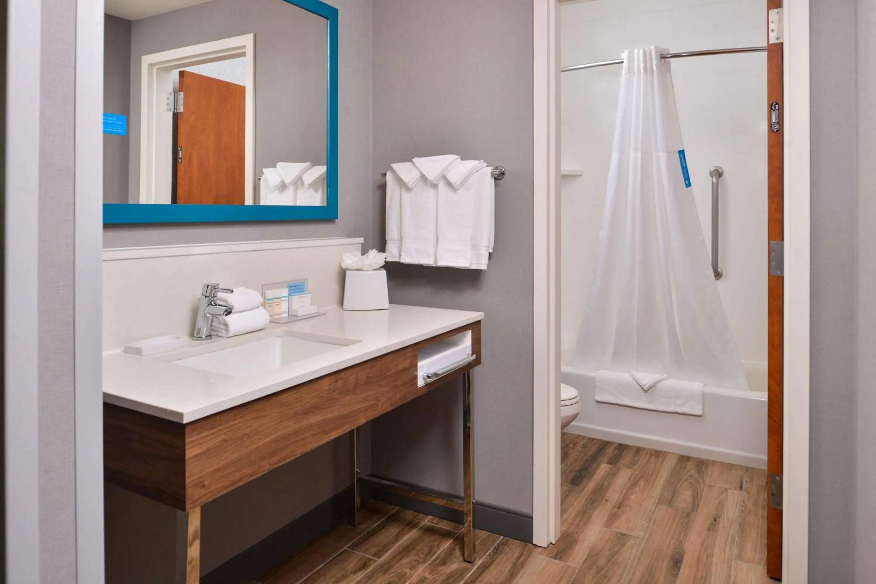 Bathroom in Hampton Inn & Suites Boise/Spectrum