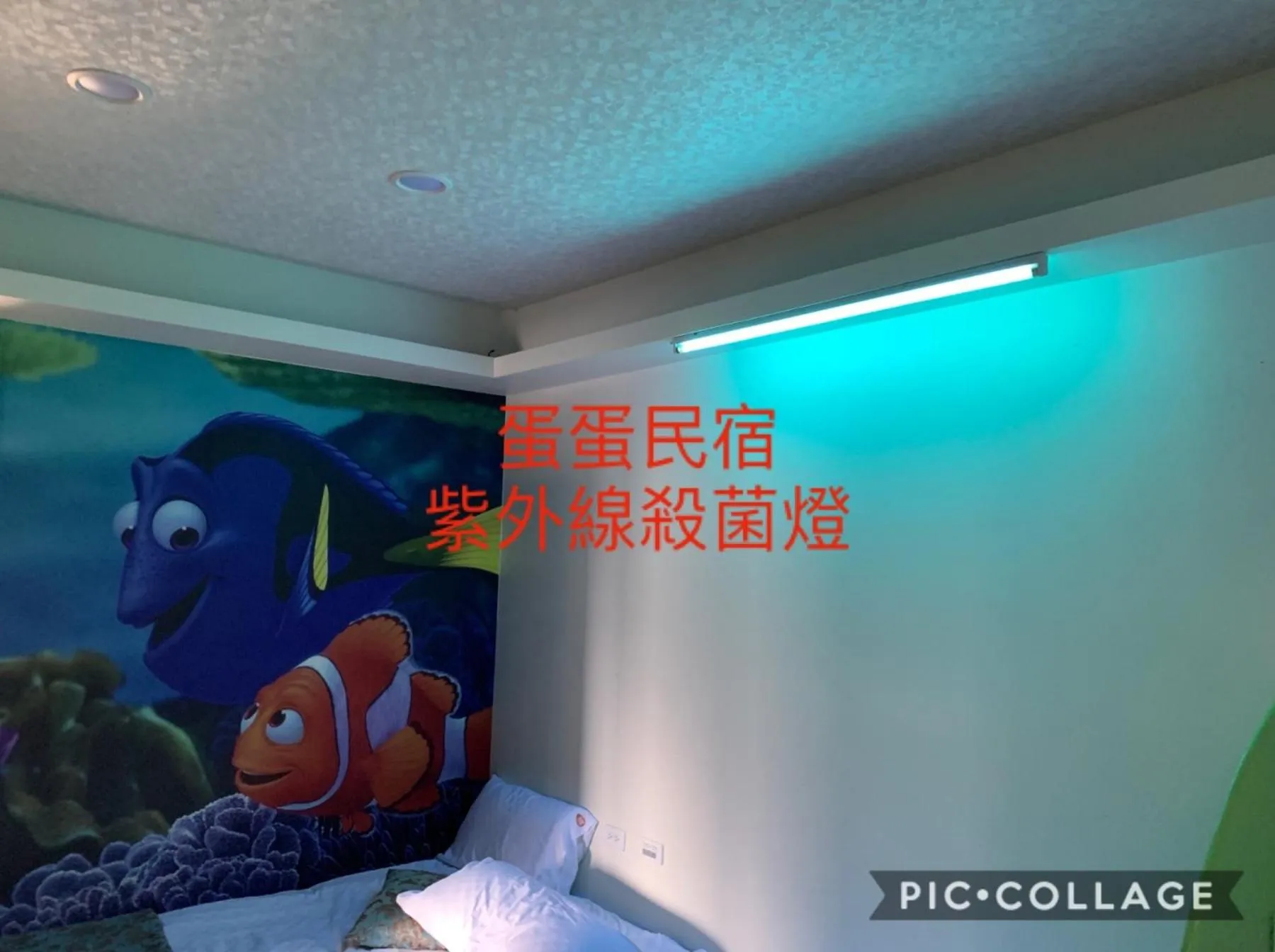 Bedroom in The Hide Bed and breakfast