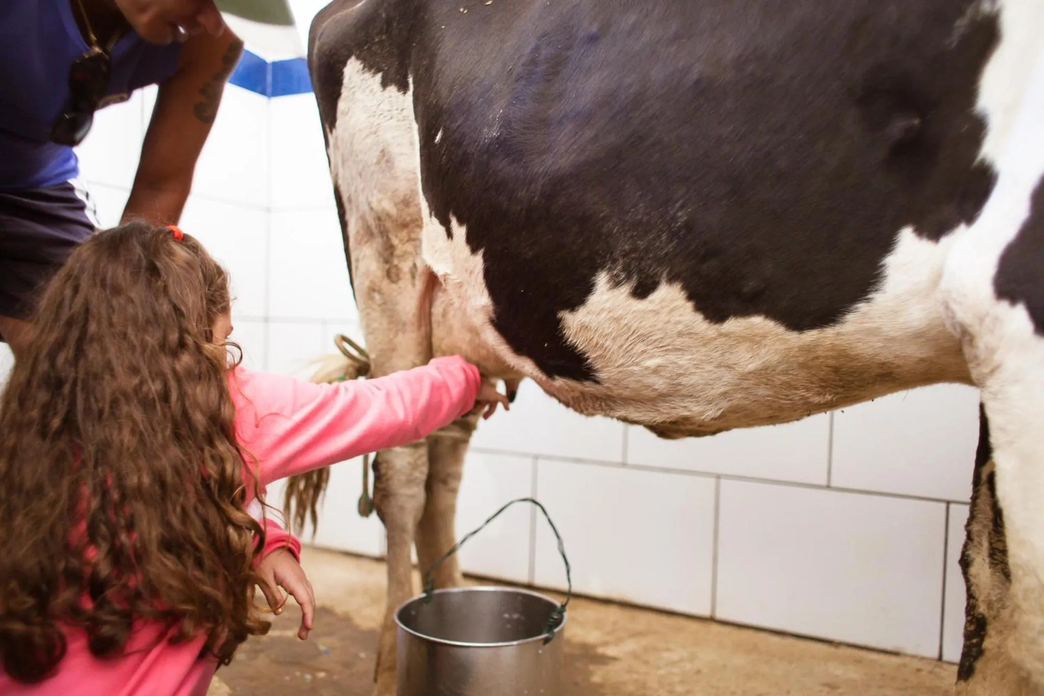 Hotel Fazenda Santa Barbara