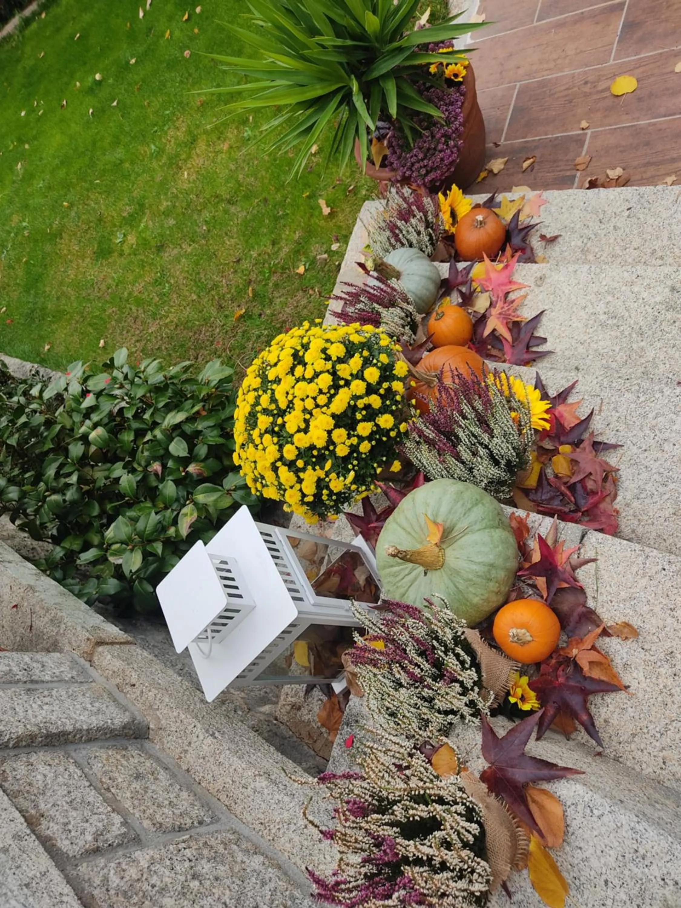 Garden in Posada Rural La Flor