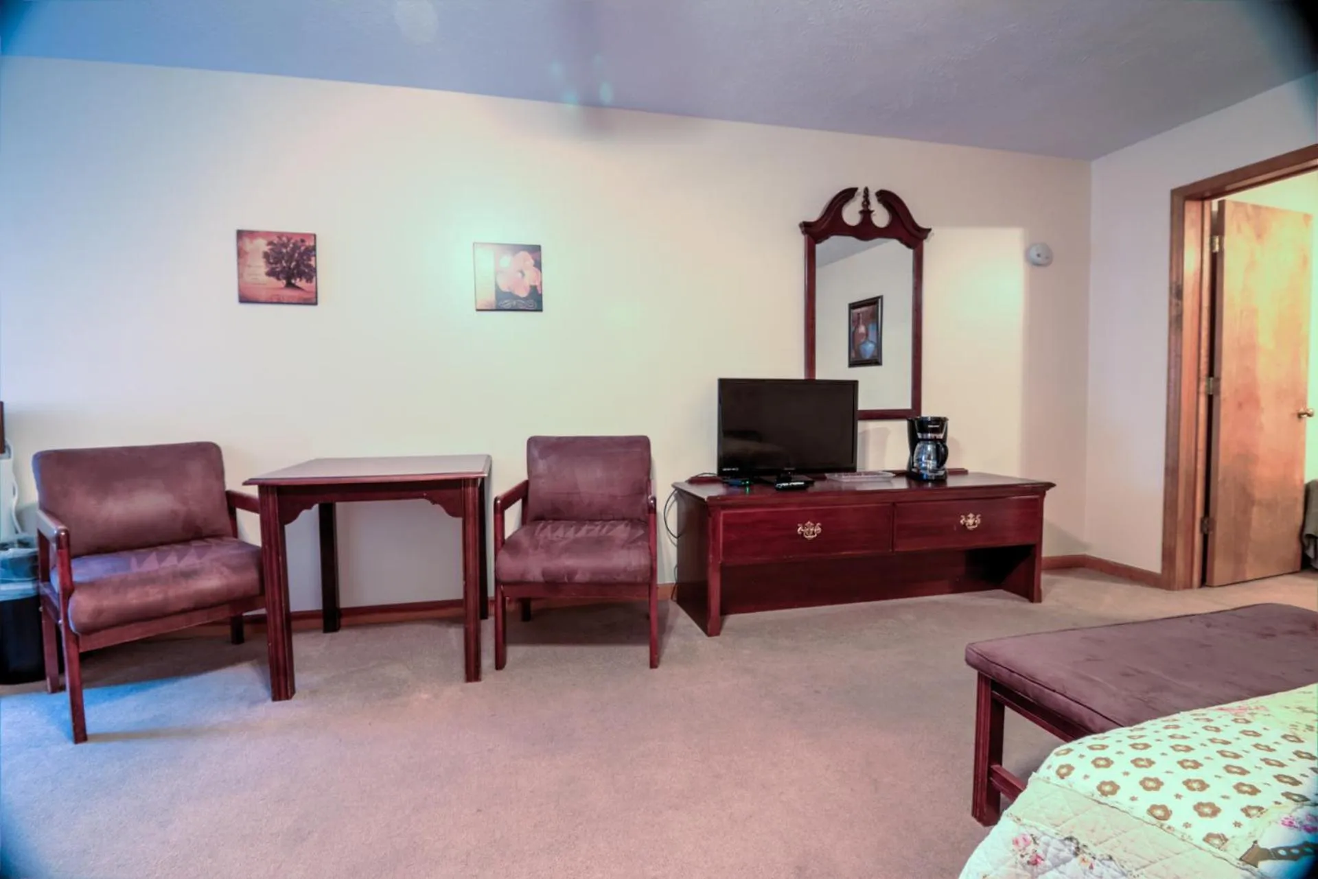 Bear Camp By The Night