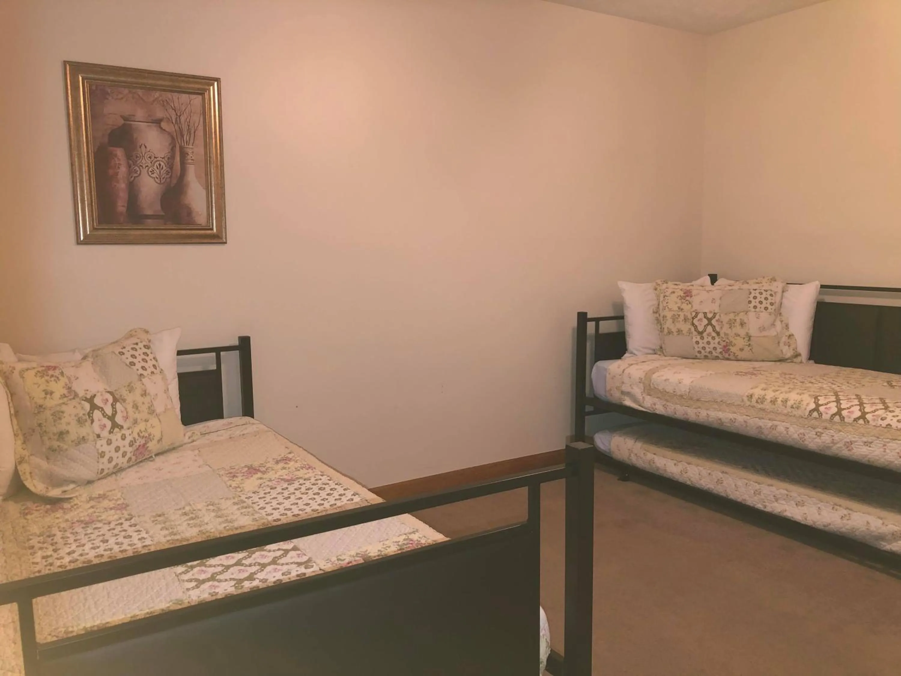 Bed in Bear Camp By The Night