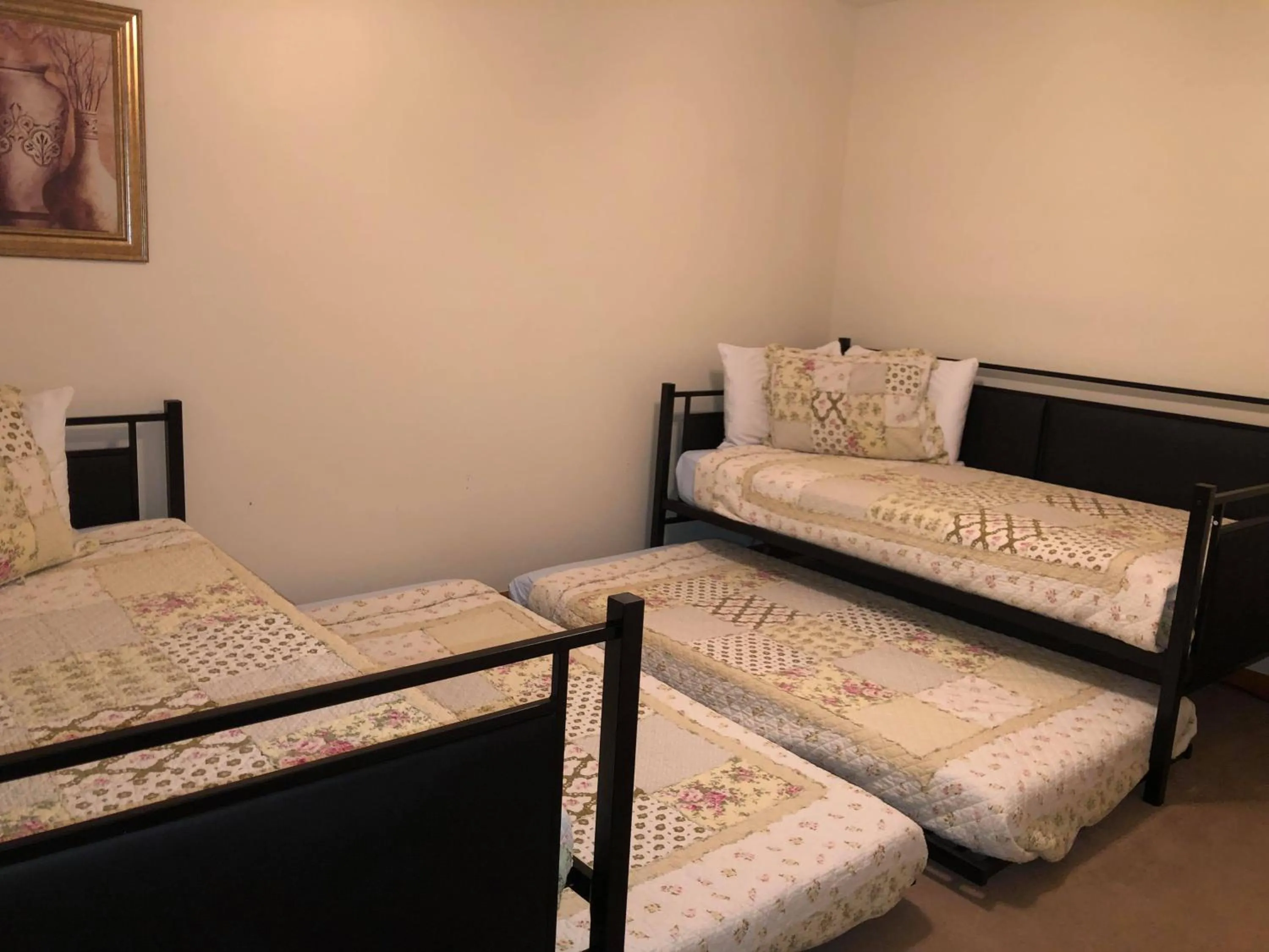 Bed in Bear Camp By The Night