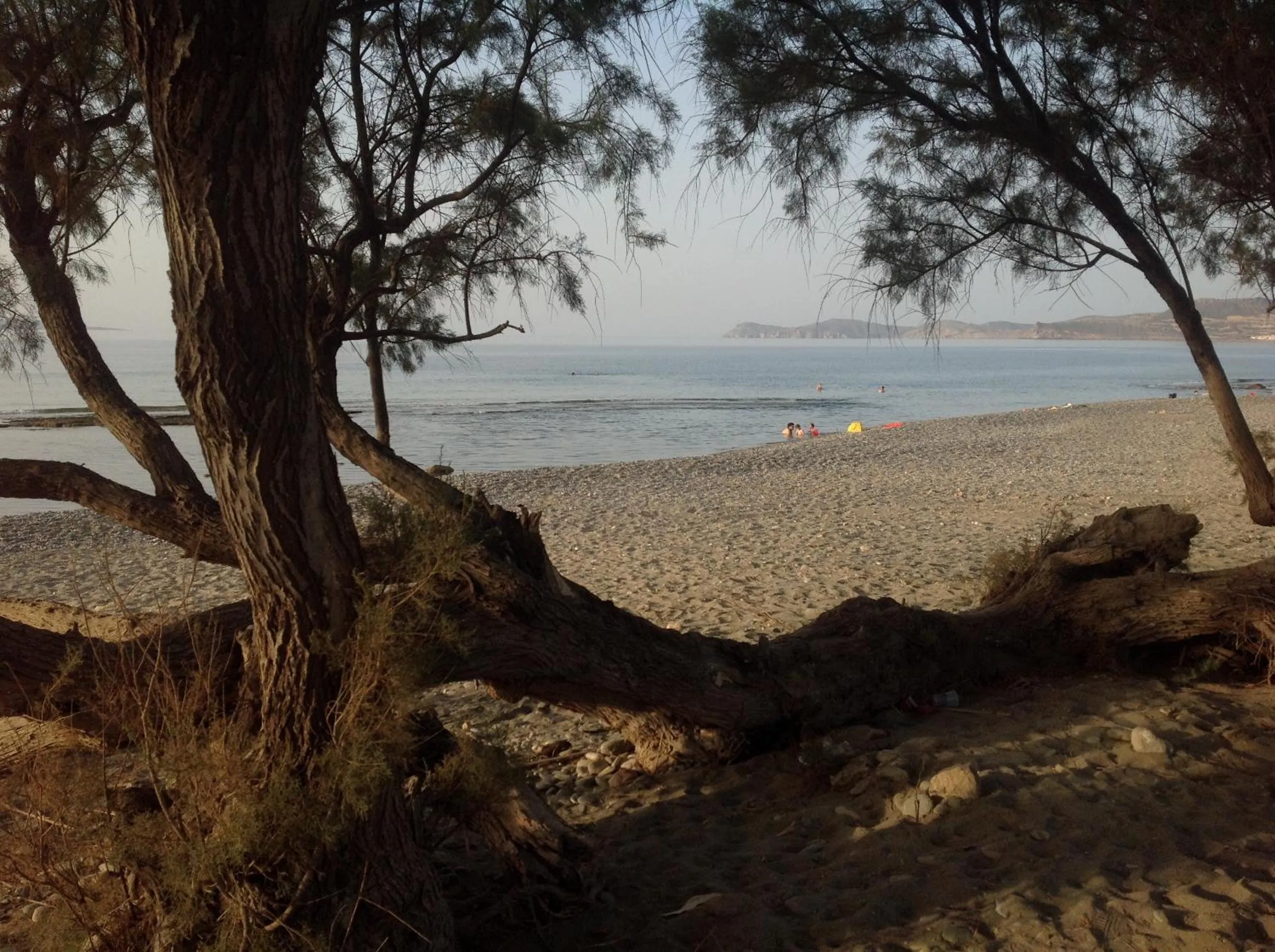 Snorkeling in Hotel Petras Beach