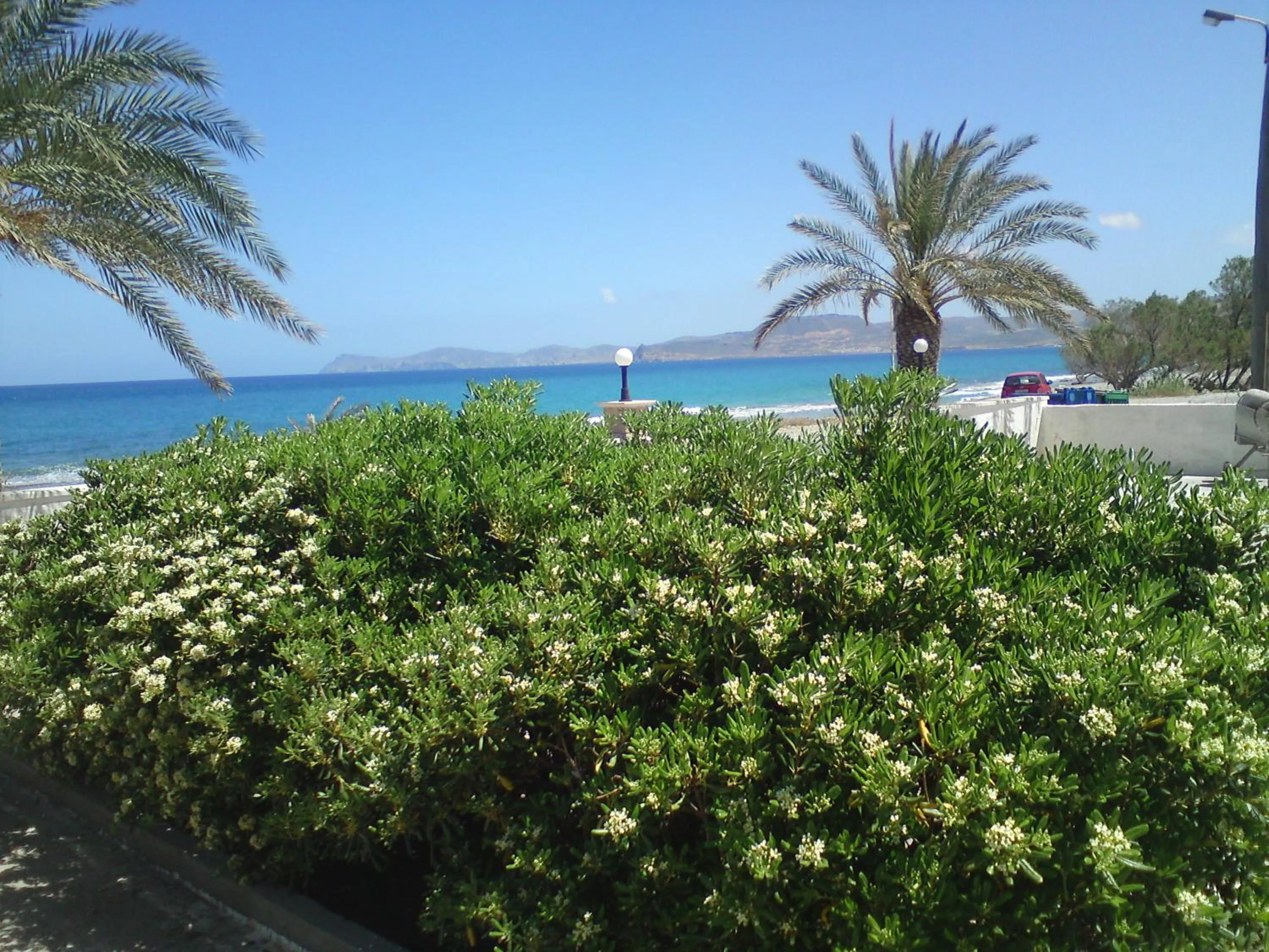 Decorative detail in Hotel Petras Beach