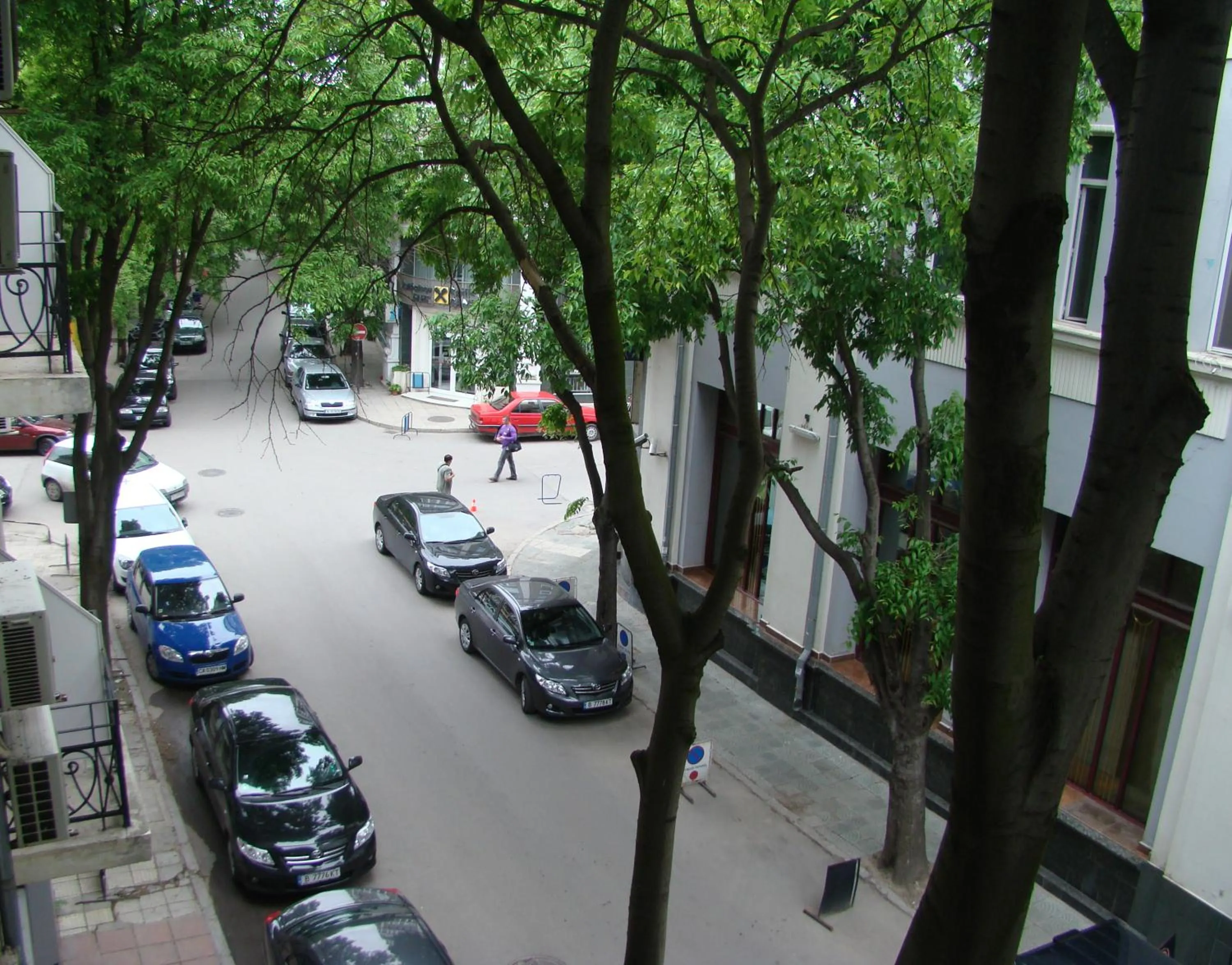 Spring in Three Dolphins Hotel with a Rooftop terracе