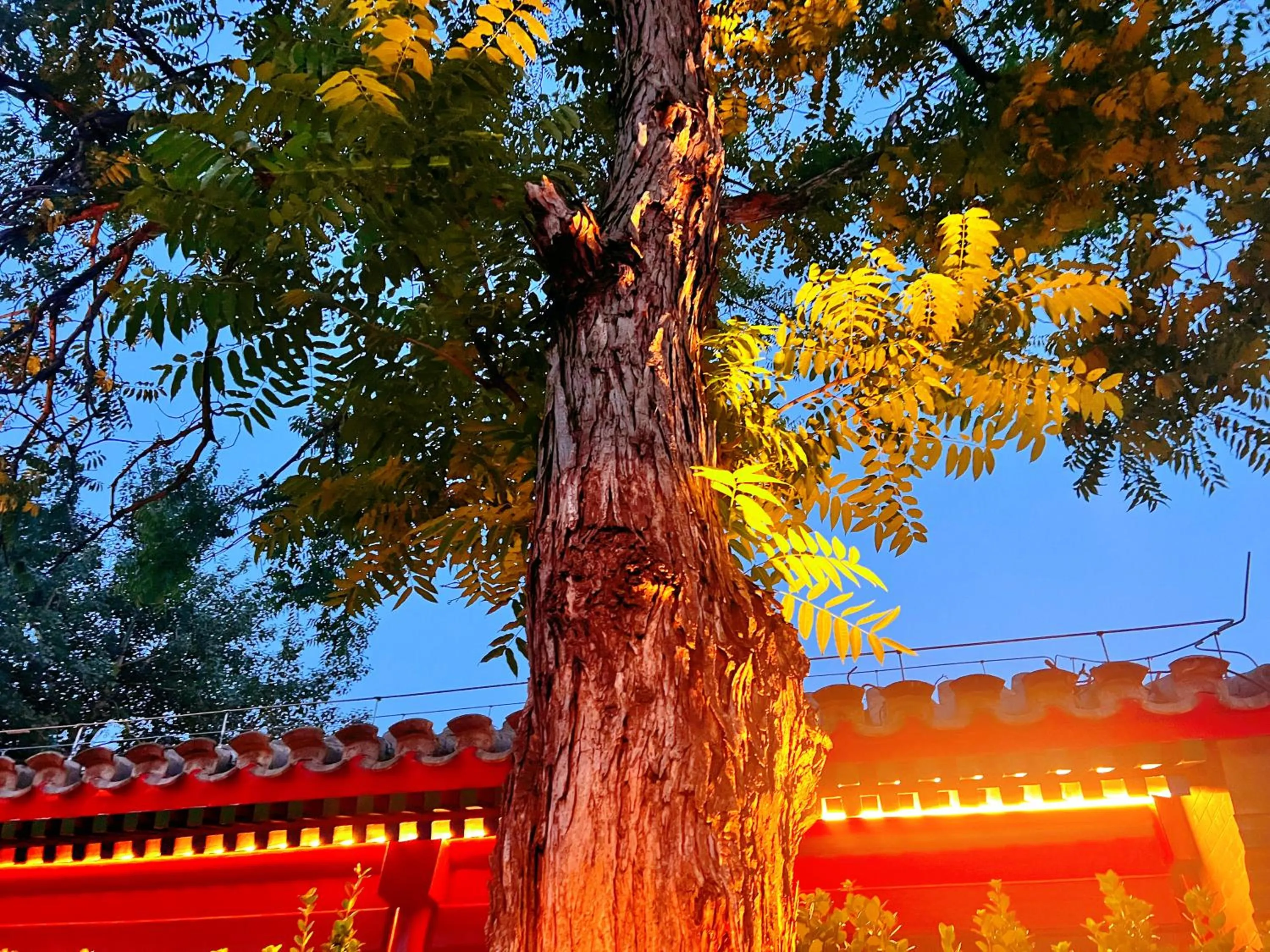 Garden view in Jingshan Garden Hotel