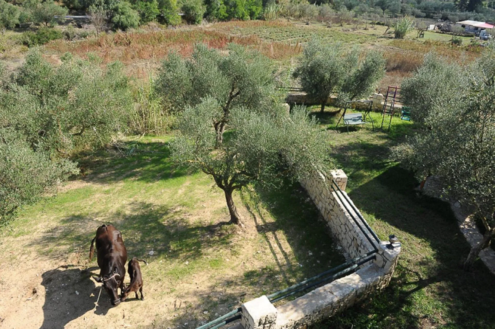 Natural landscape in Ammos Zante Villas
