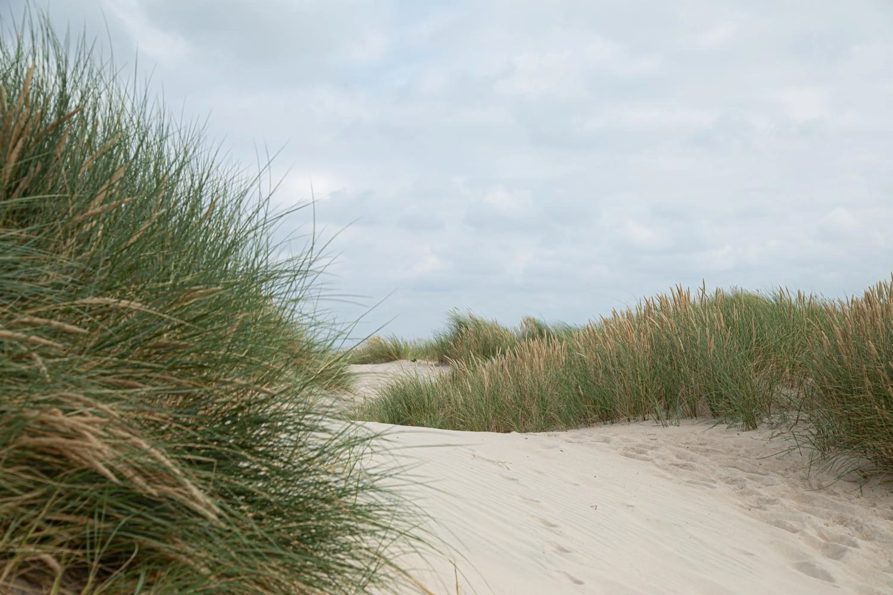 Natural landscape in Rønnes Hotel