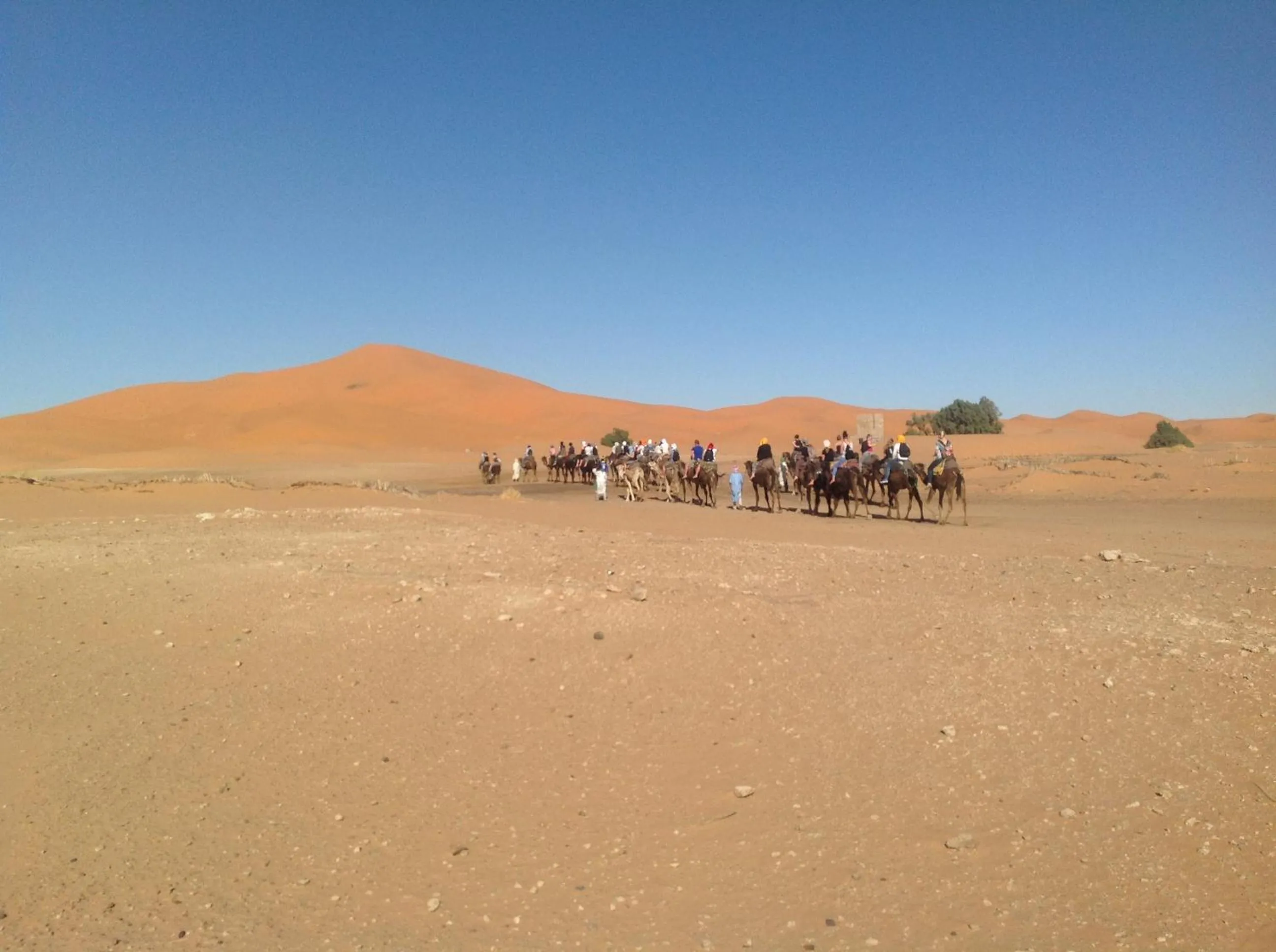 Day in Hôtel Riad Tadarte Familier