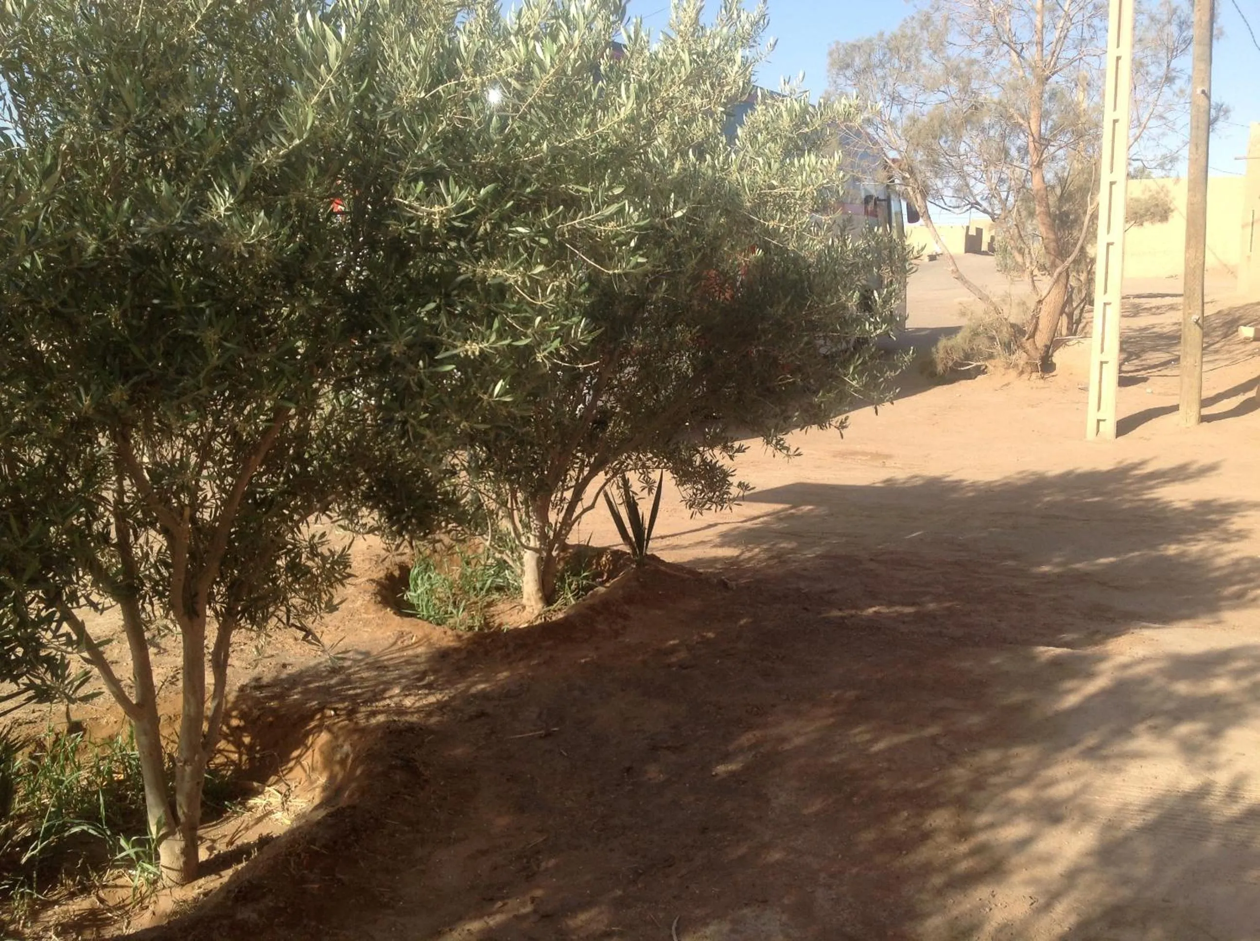 Spring in Hôtel Riad Tadarte Familier