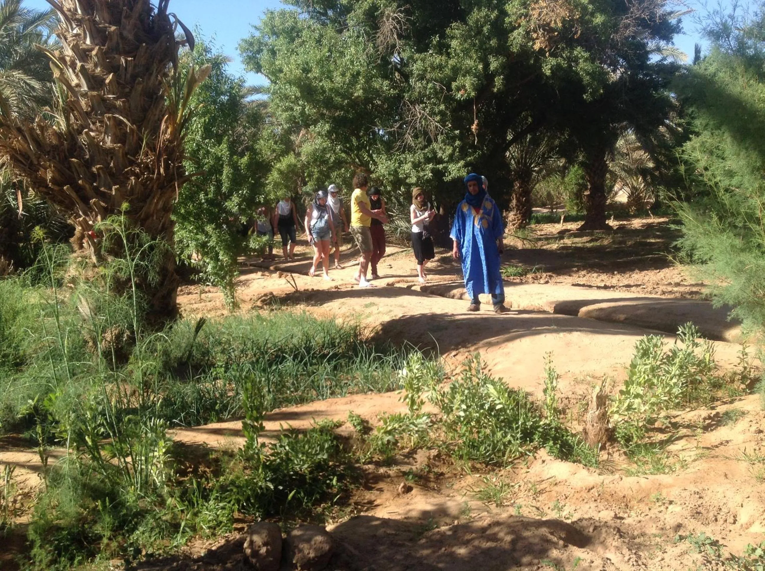 Spring in Hôtel Riad Tadarte Familier