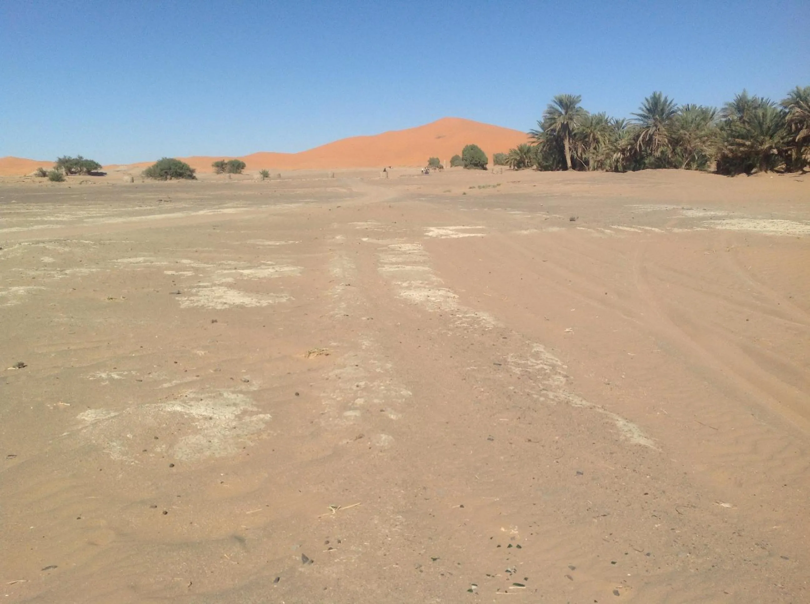 Day in Hôtel Riad Tadarte Familier