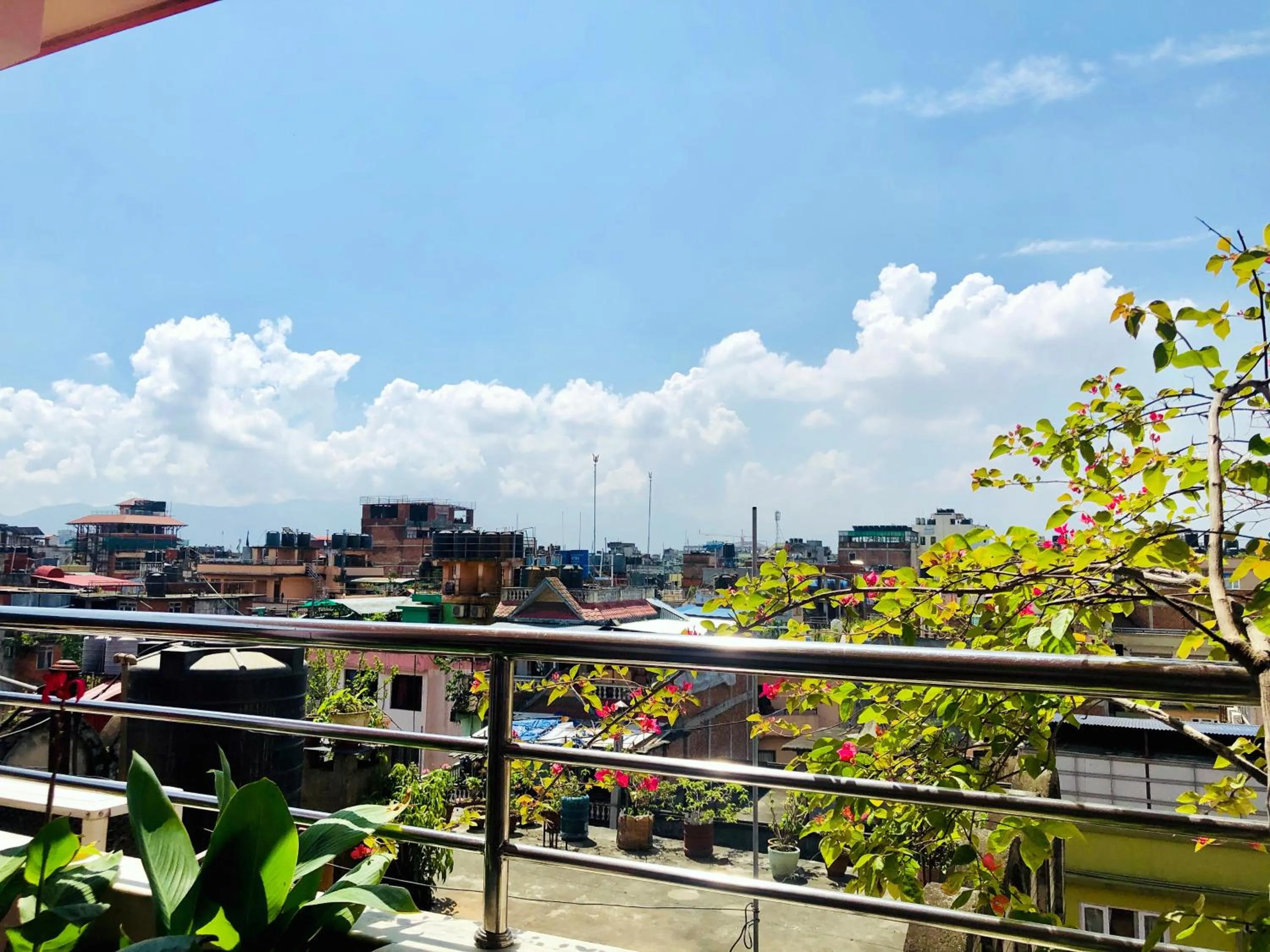 Balcony/Terrace in Backyard Hotel
