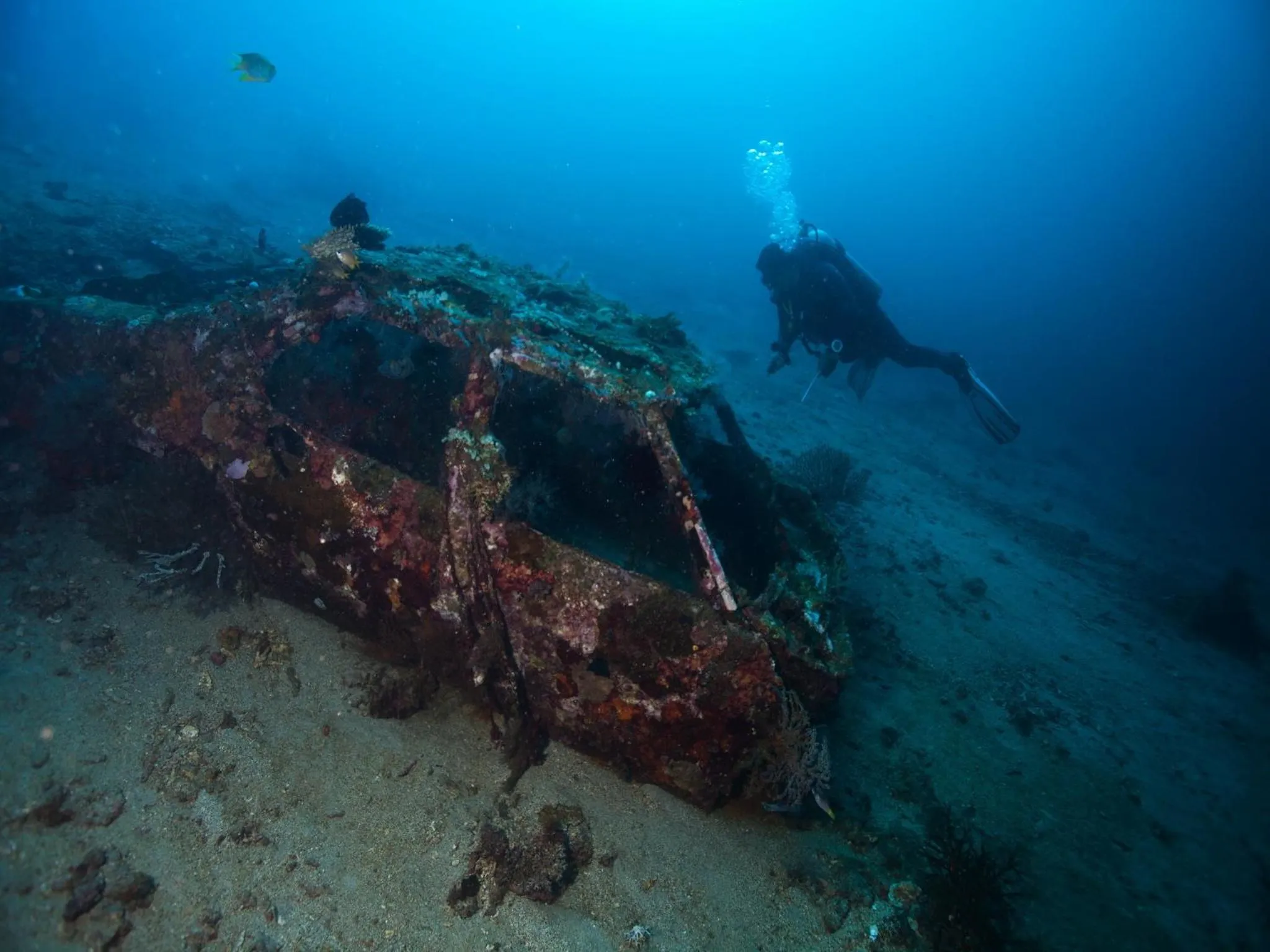 Diving in Hotel Uyah Amed Spa Resort