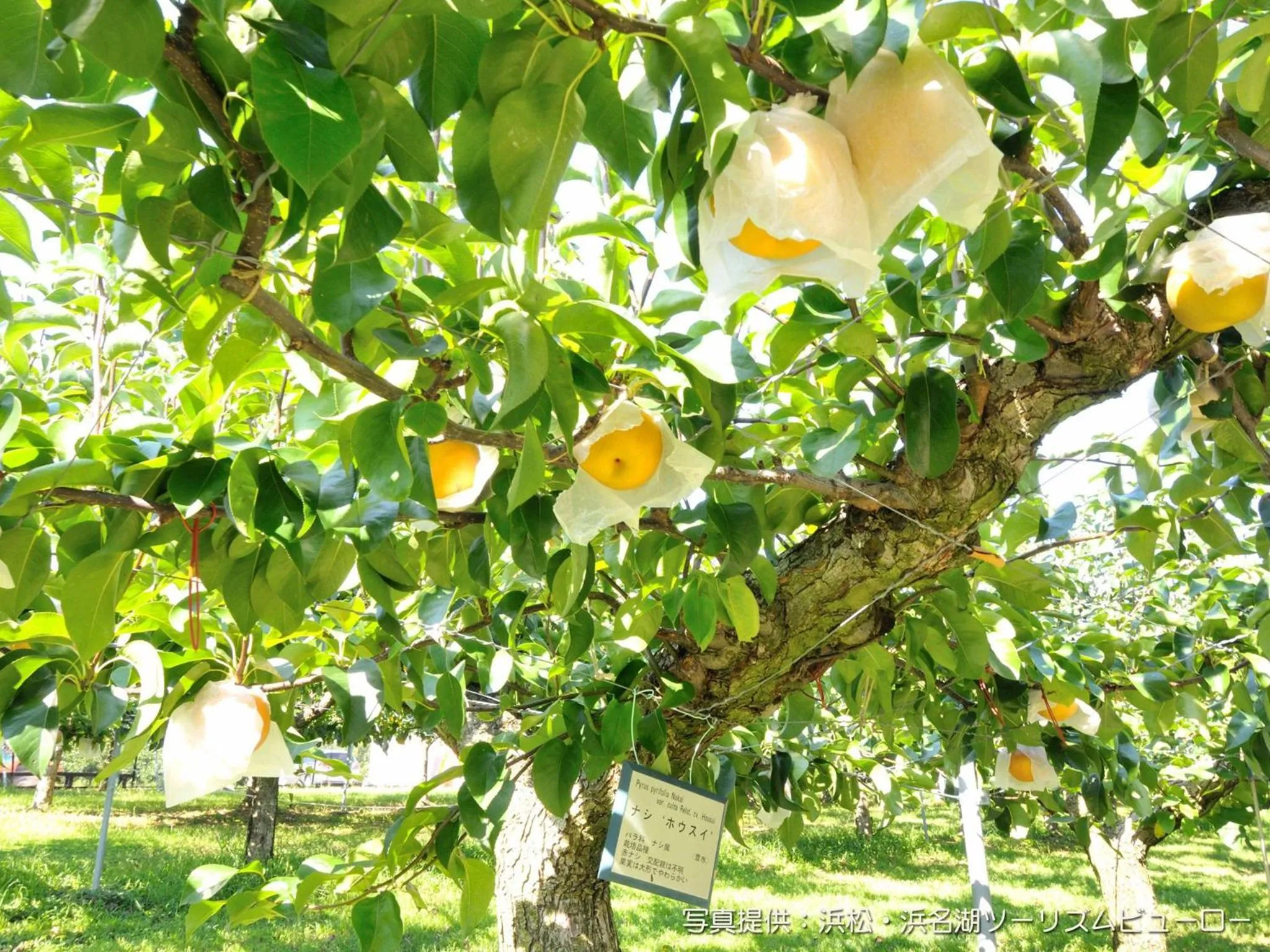 Nearby landmark in Hotel Crown Palais Hamamatsu