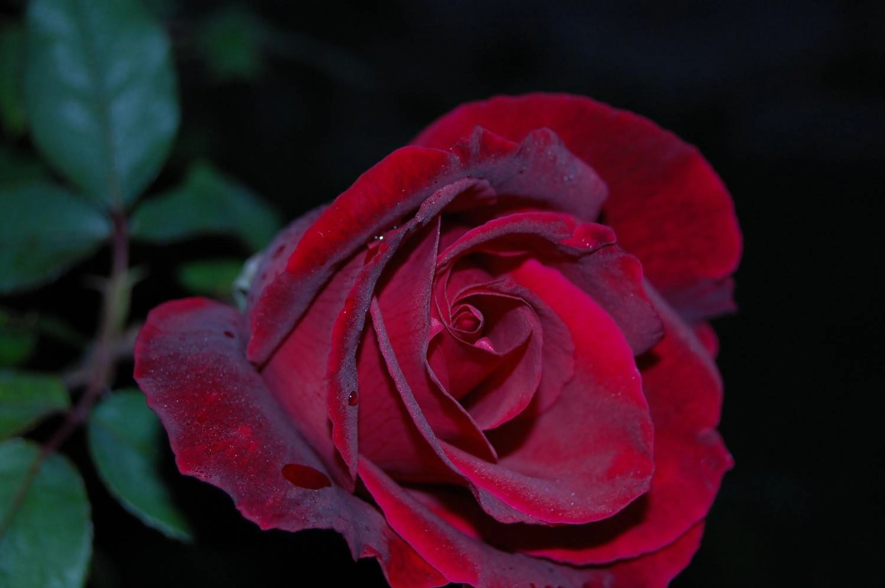 Garden in Terre Iblee Resort