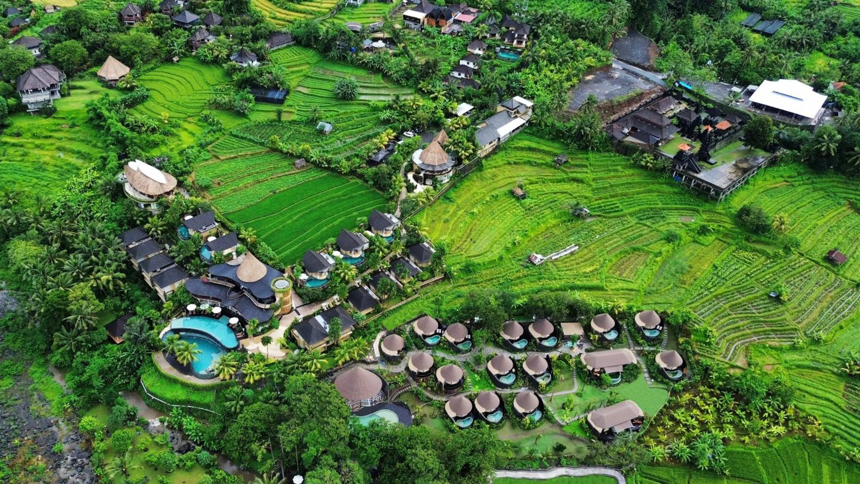 Bird's eye view in Wapa di Ume Sidemen