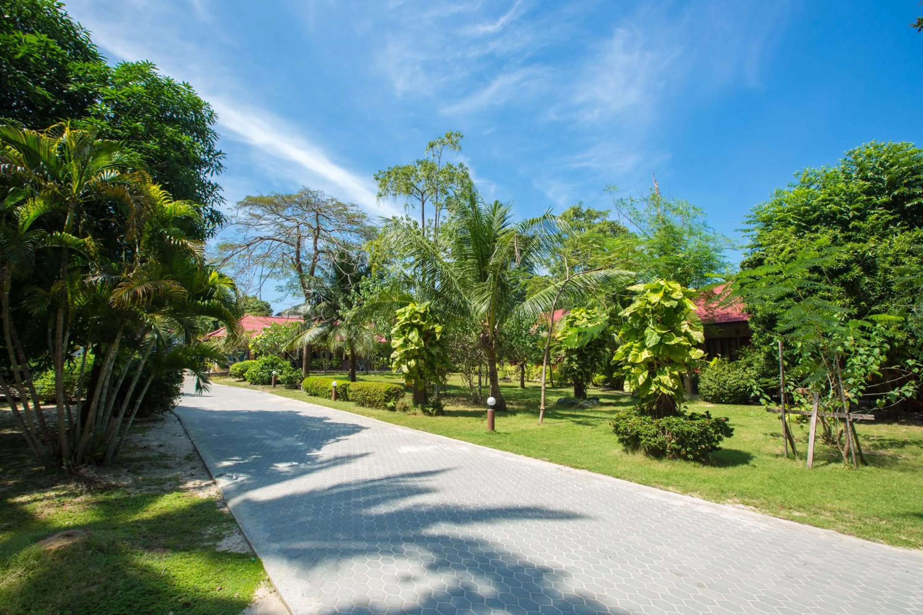 Garden in Long Beach Lodge, Chaweng Beach, Koh Samui