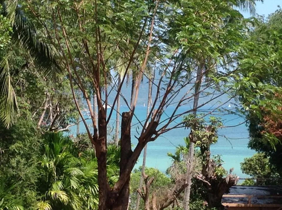 Living room in C-VIEW BOUTIQUE