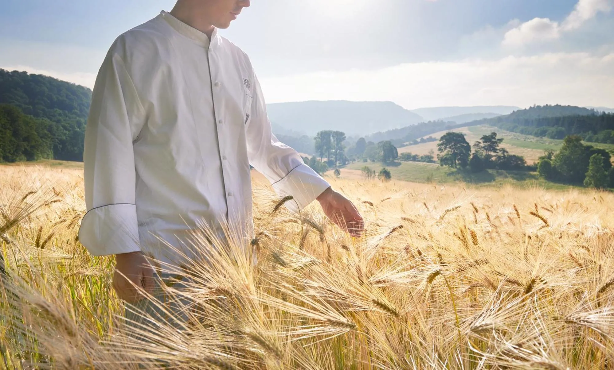 Restaurant/places to eat in Hotel Hohenhaus