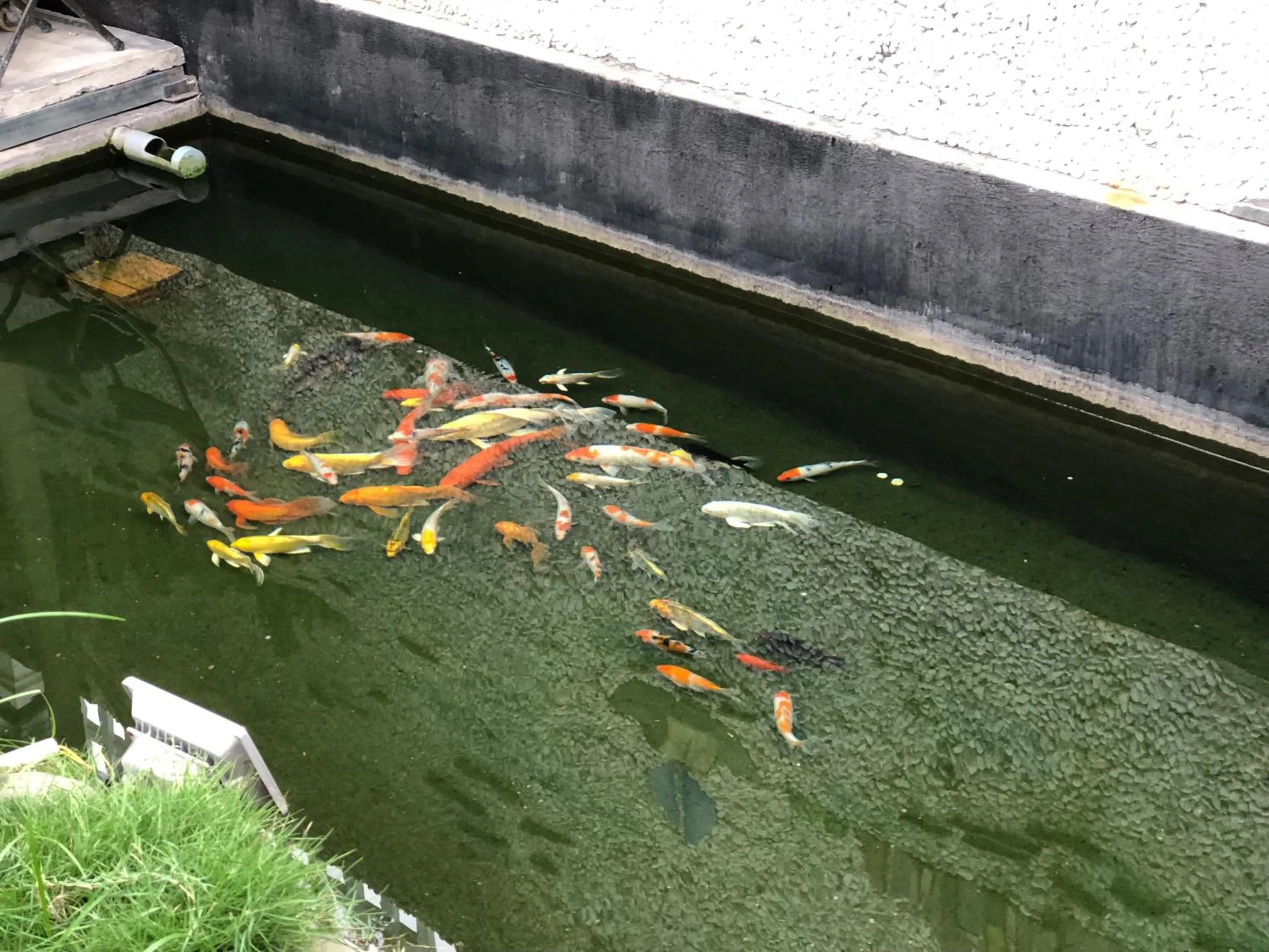 Sao Khue Riverside Hotel & Coffee