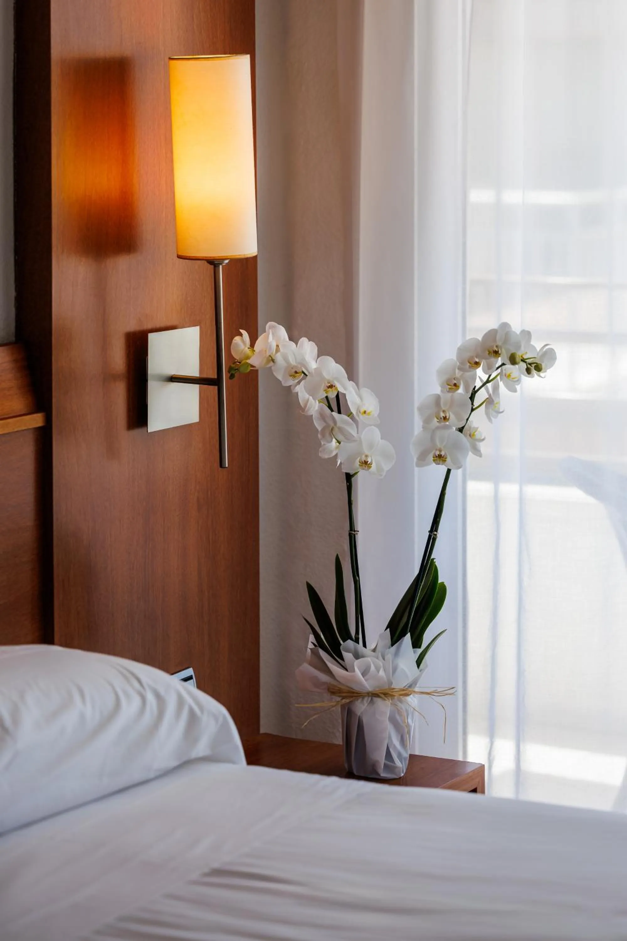 Photo of the whole room, Bed in O7 Colombo