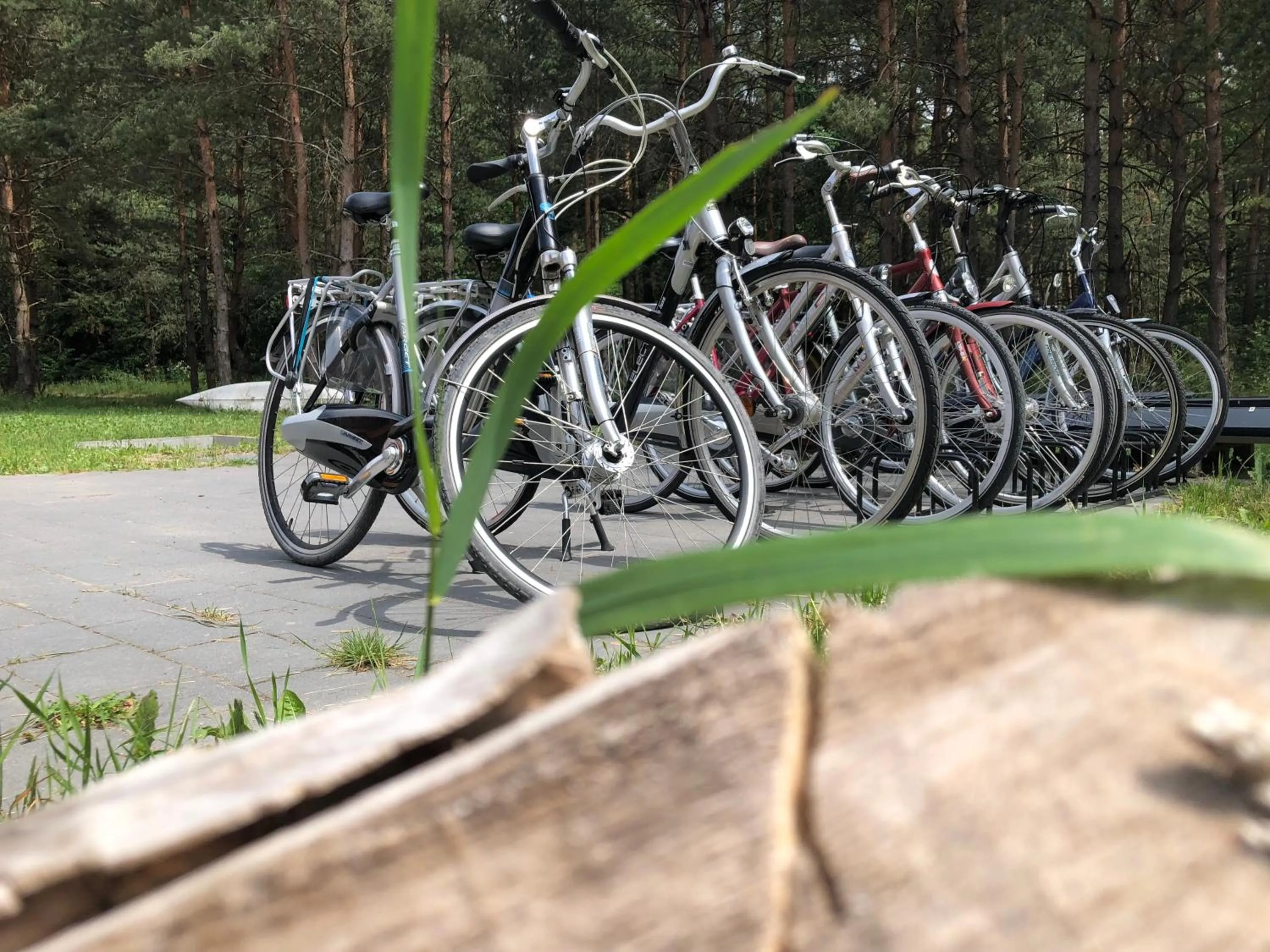 Cycling in Leśna Chata