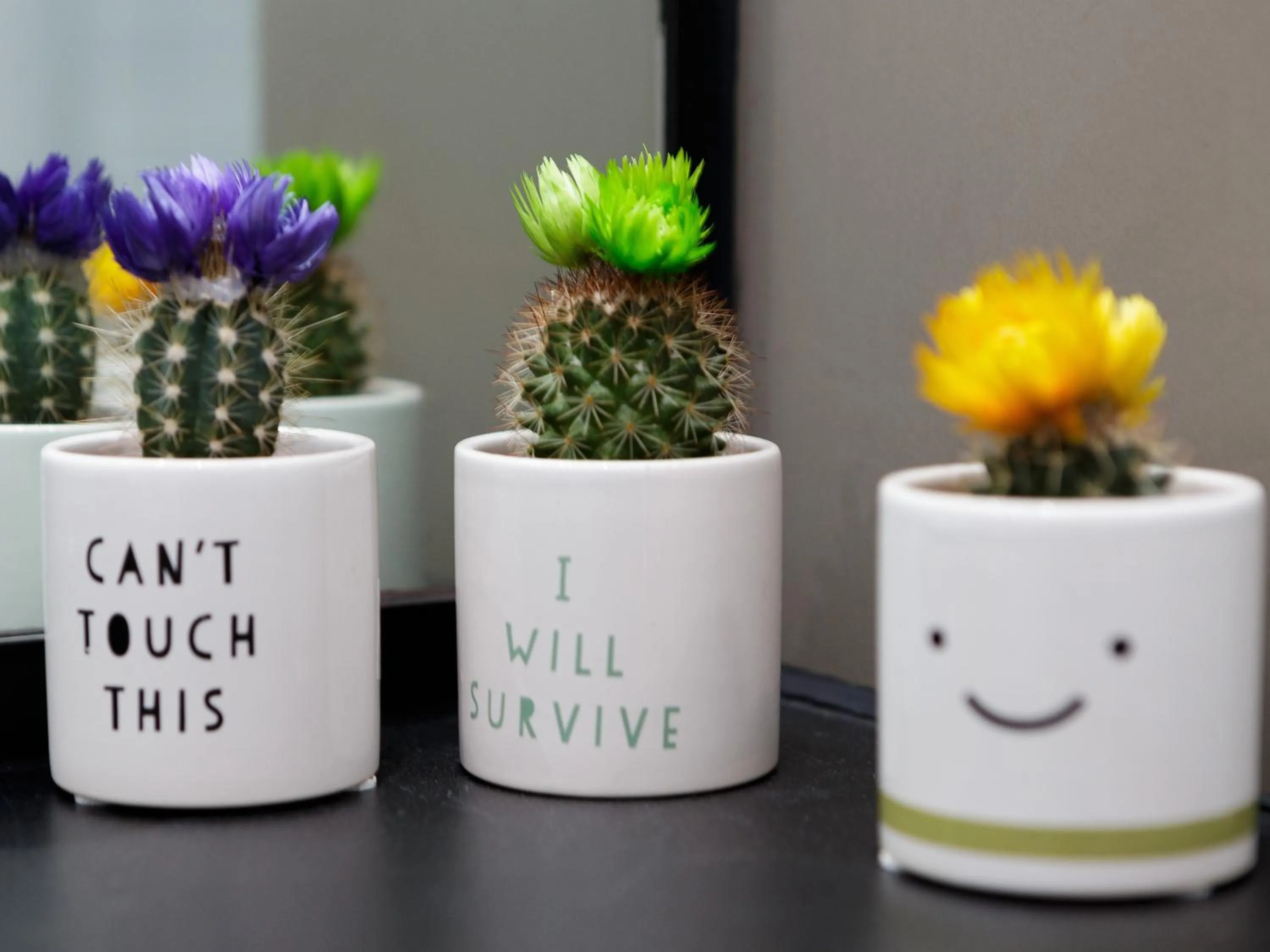 Kitchen or kitchenette in Live in Leeds Sky Penthouse