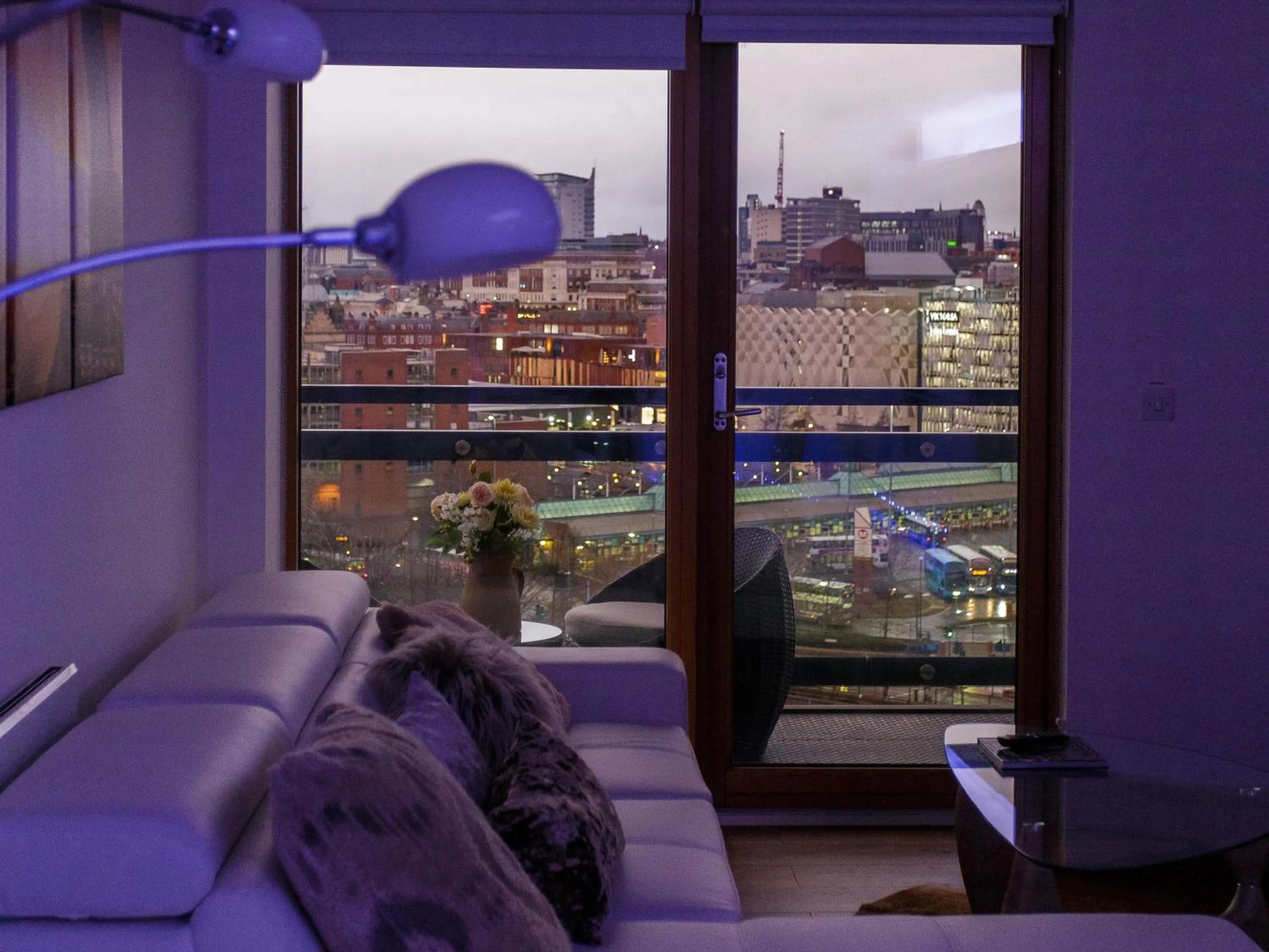 View (from property/room) in Live in Leeds Sky Penthouse