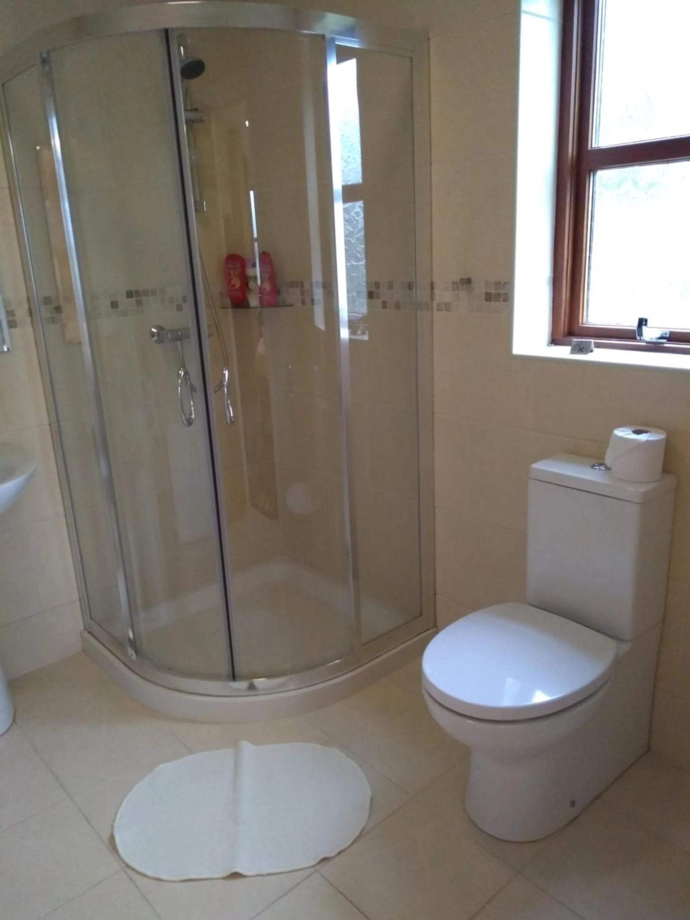 Shower in Tollyrose Country House