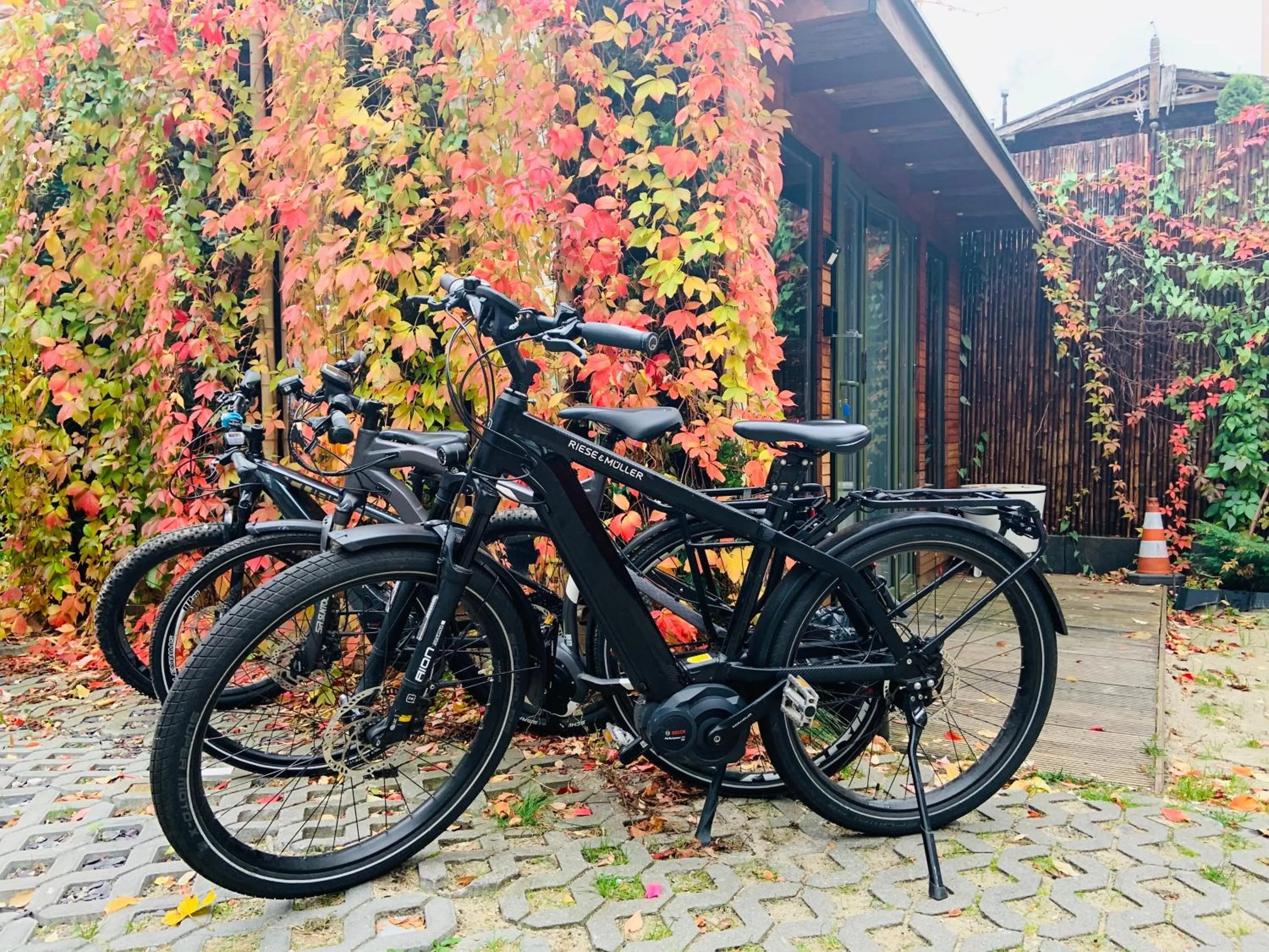 Cycling in Mała Anglia - Boutique Apartments & SPA