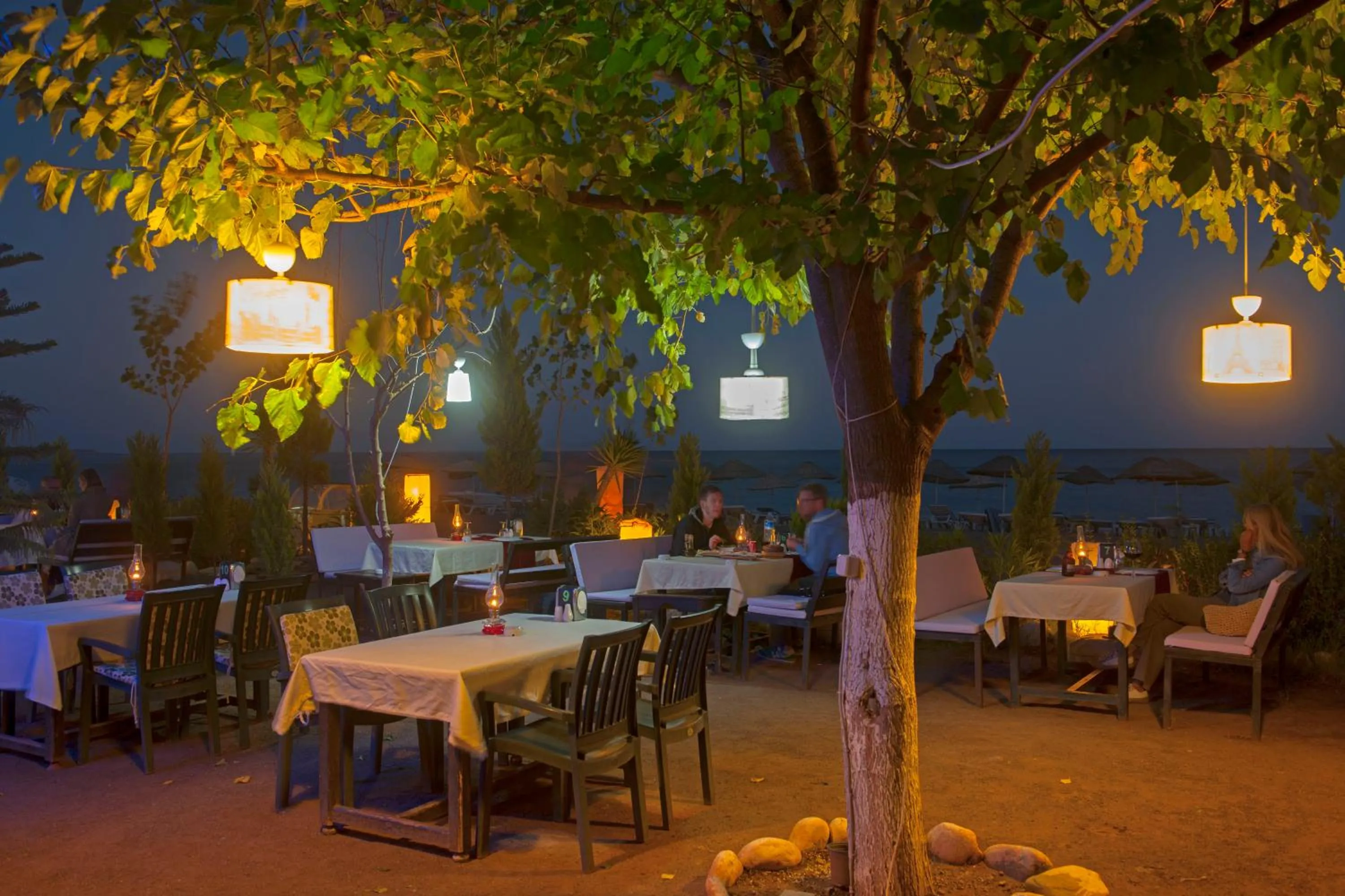 Restaurant/places to eat in Kutle Hotel