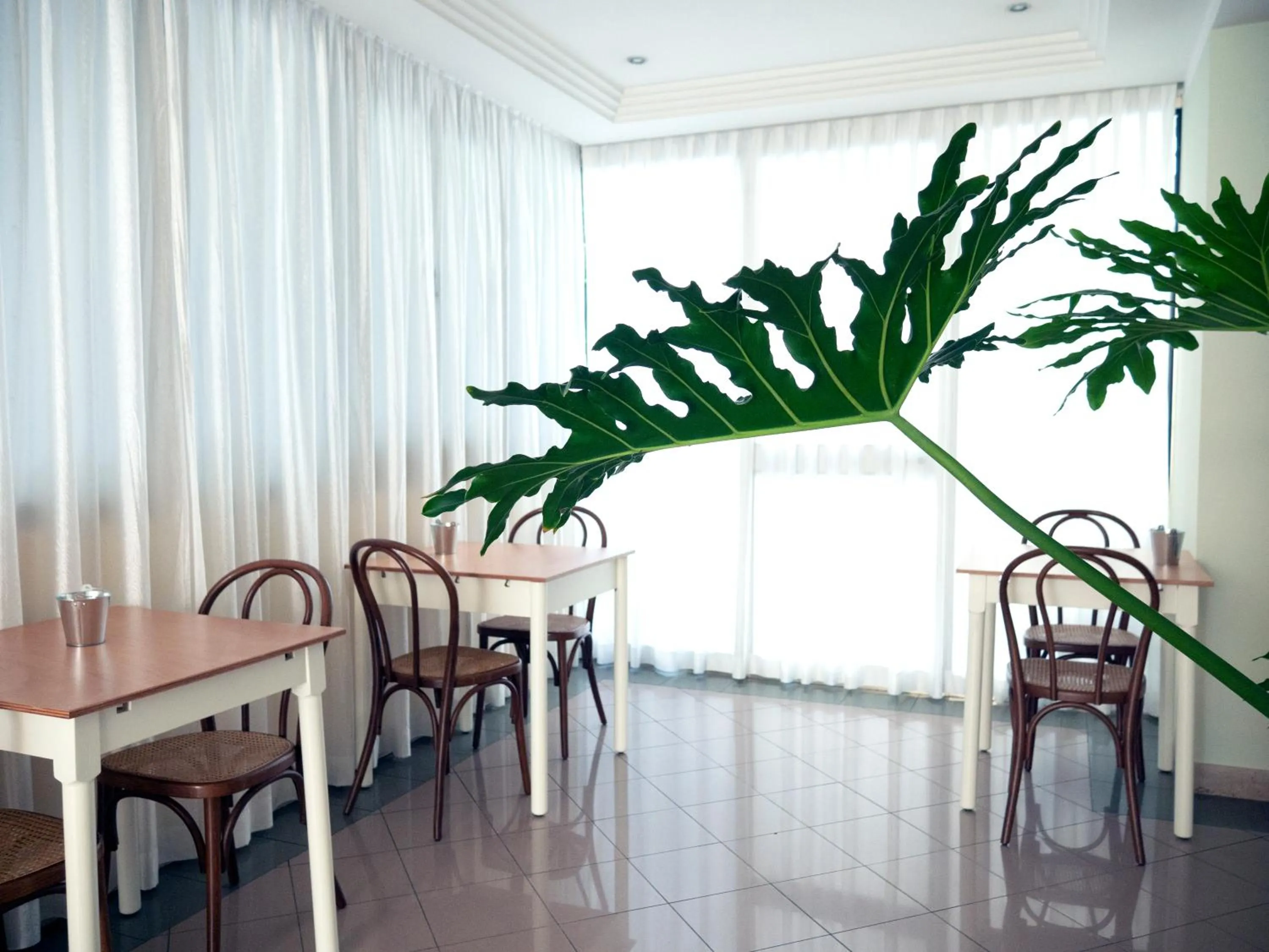 Restaurant/places to eat in Hotel Montecarlo