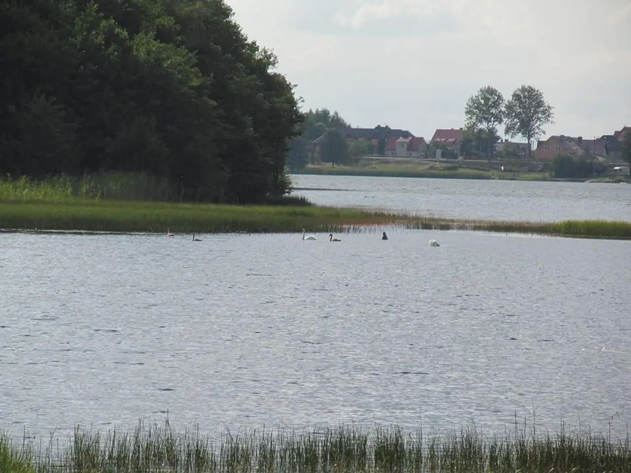 Lake view in PHU Gościniec "16-tka" Katarzyna Zdrojewska