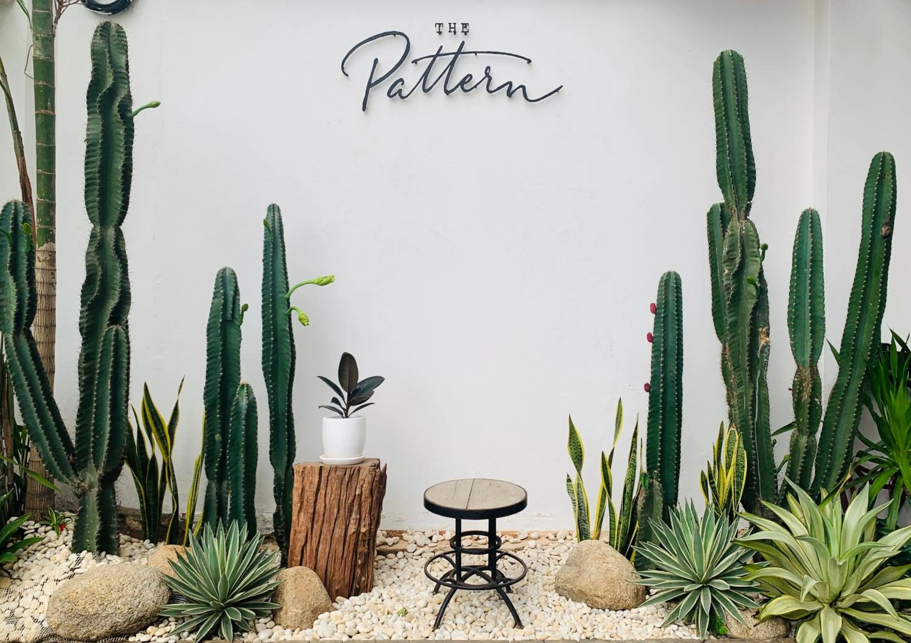 Garden in The Pattern Boutique Hotel