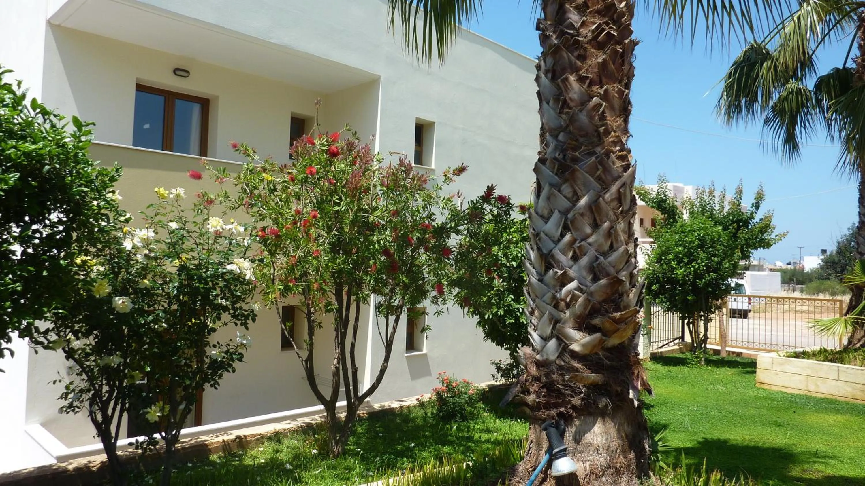 Garden in Newcastle Studios