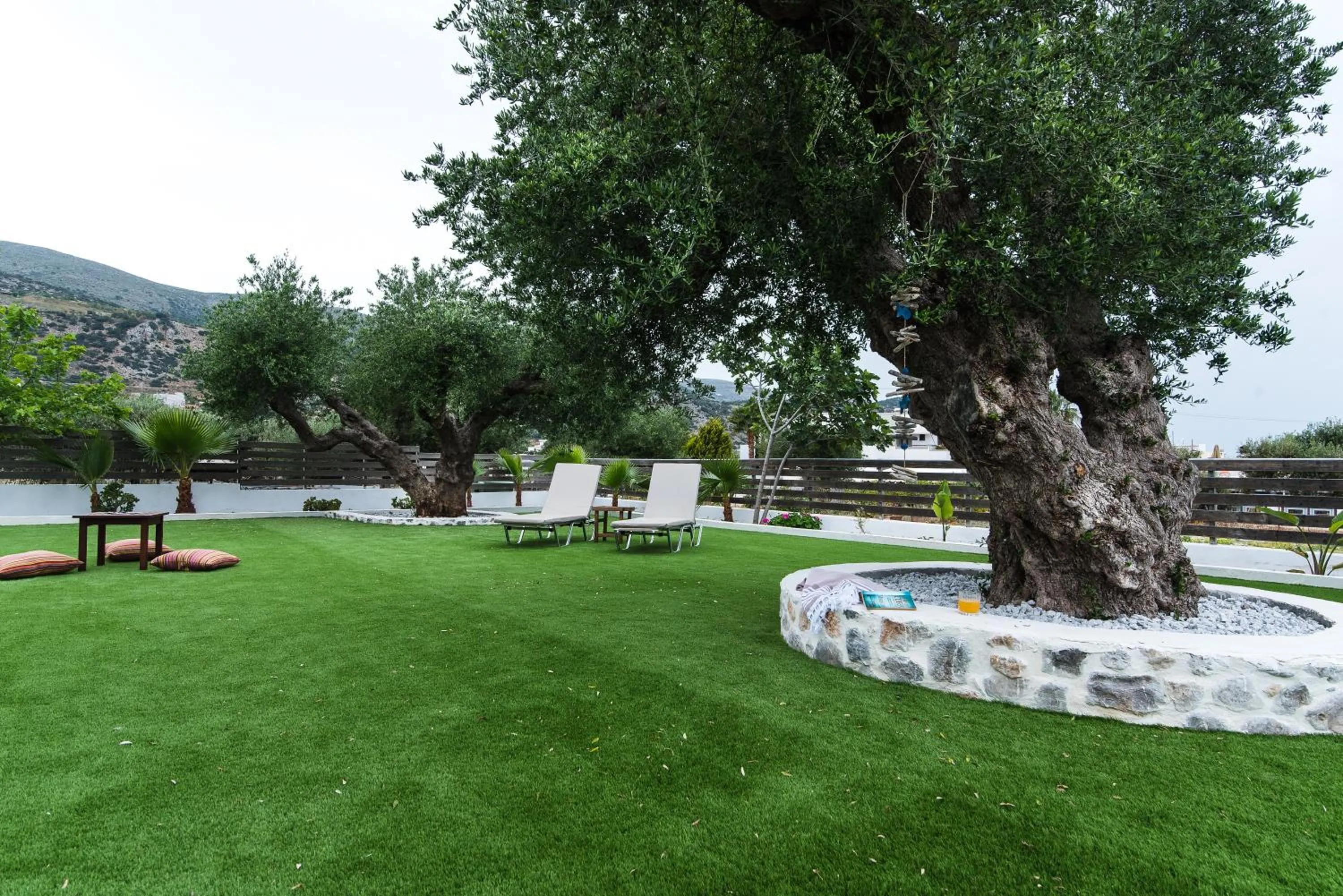 Garden in Newcastle Studios