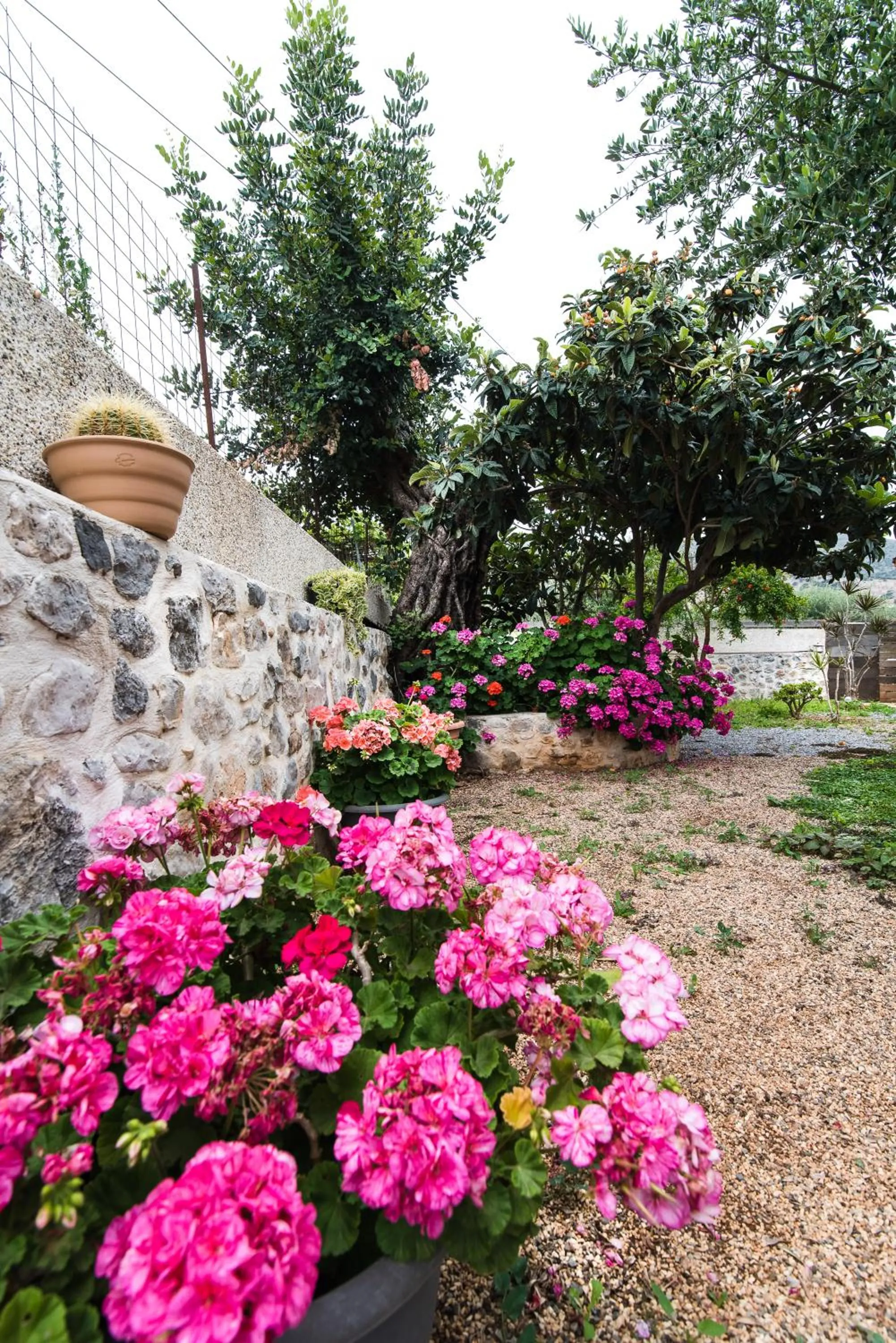 Garden in Newcastle Studios