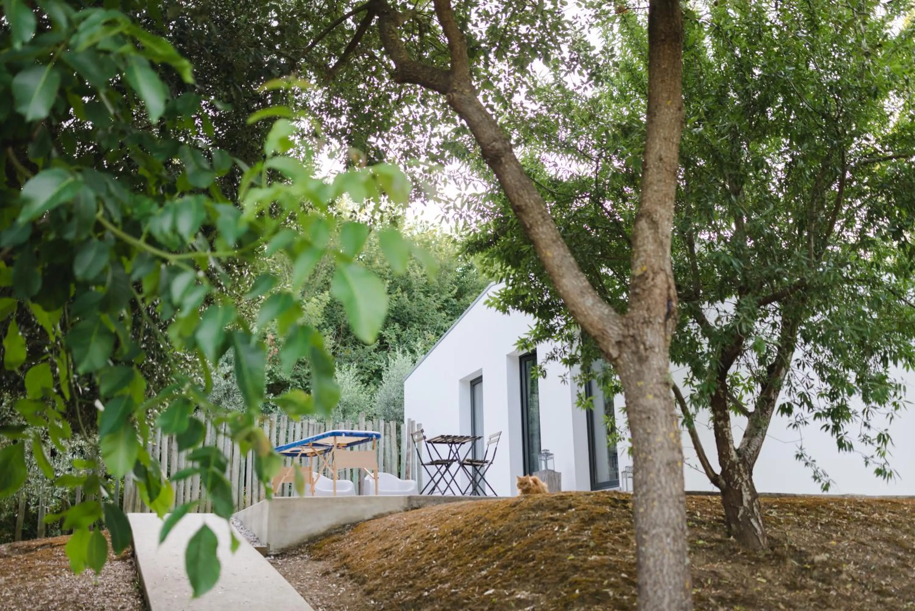 Patio in CAMBEIROS - Guest House