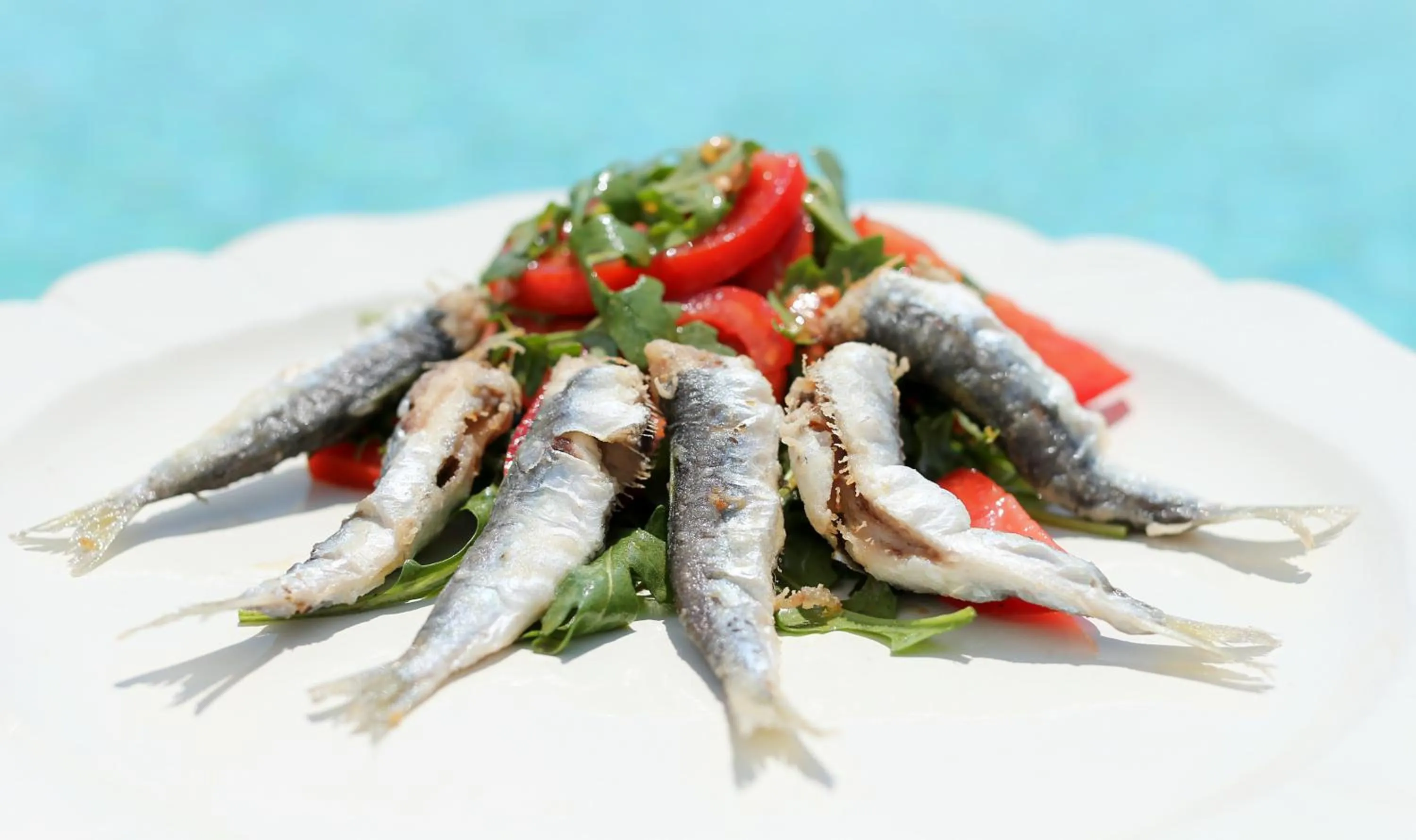 Restaurant/places to eat in VILLA STEFANIJA small Boutique hotel&restaurant