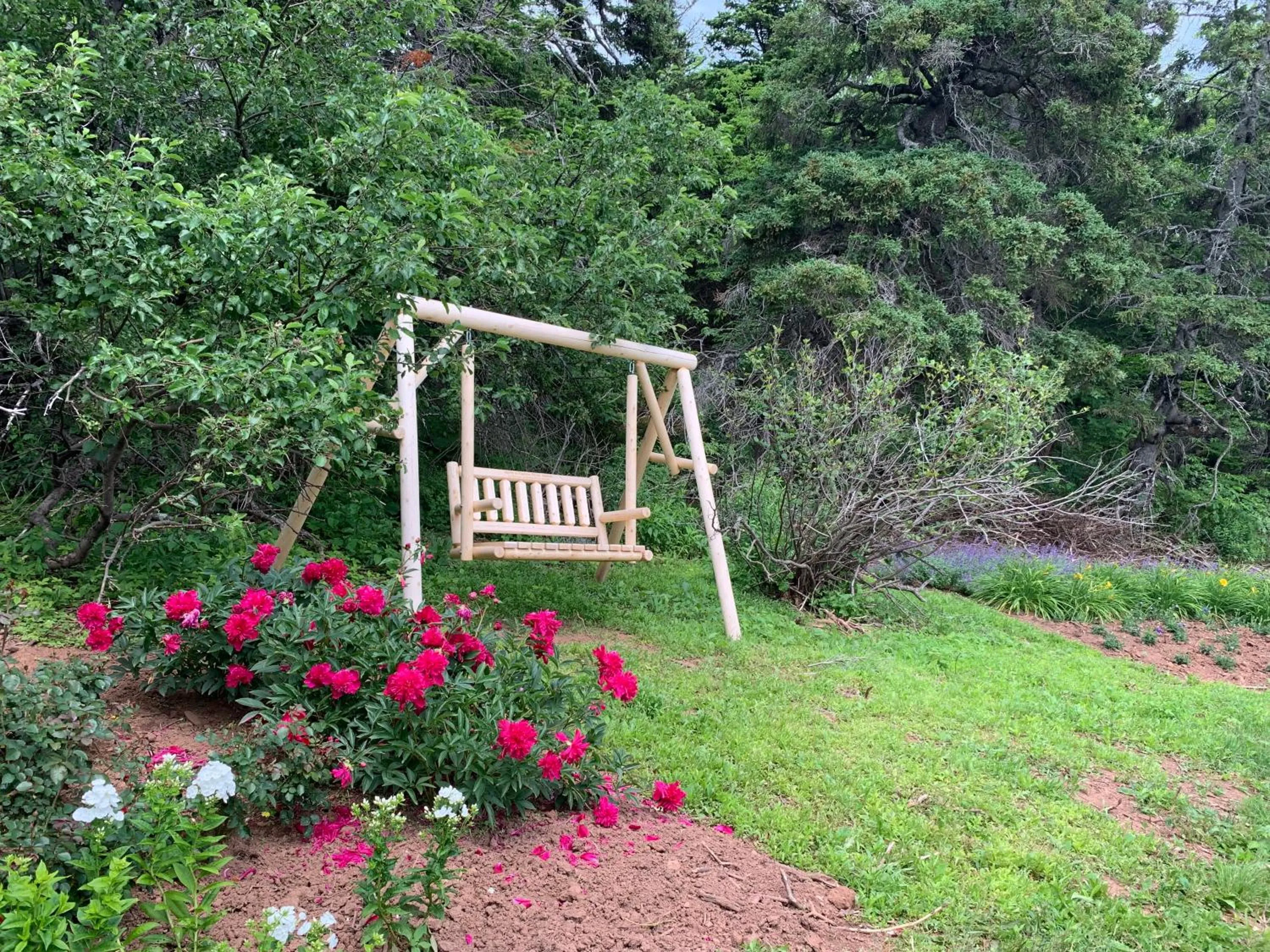 Natural landscape in Au Pic de l'Aurore Motel-Chalets
