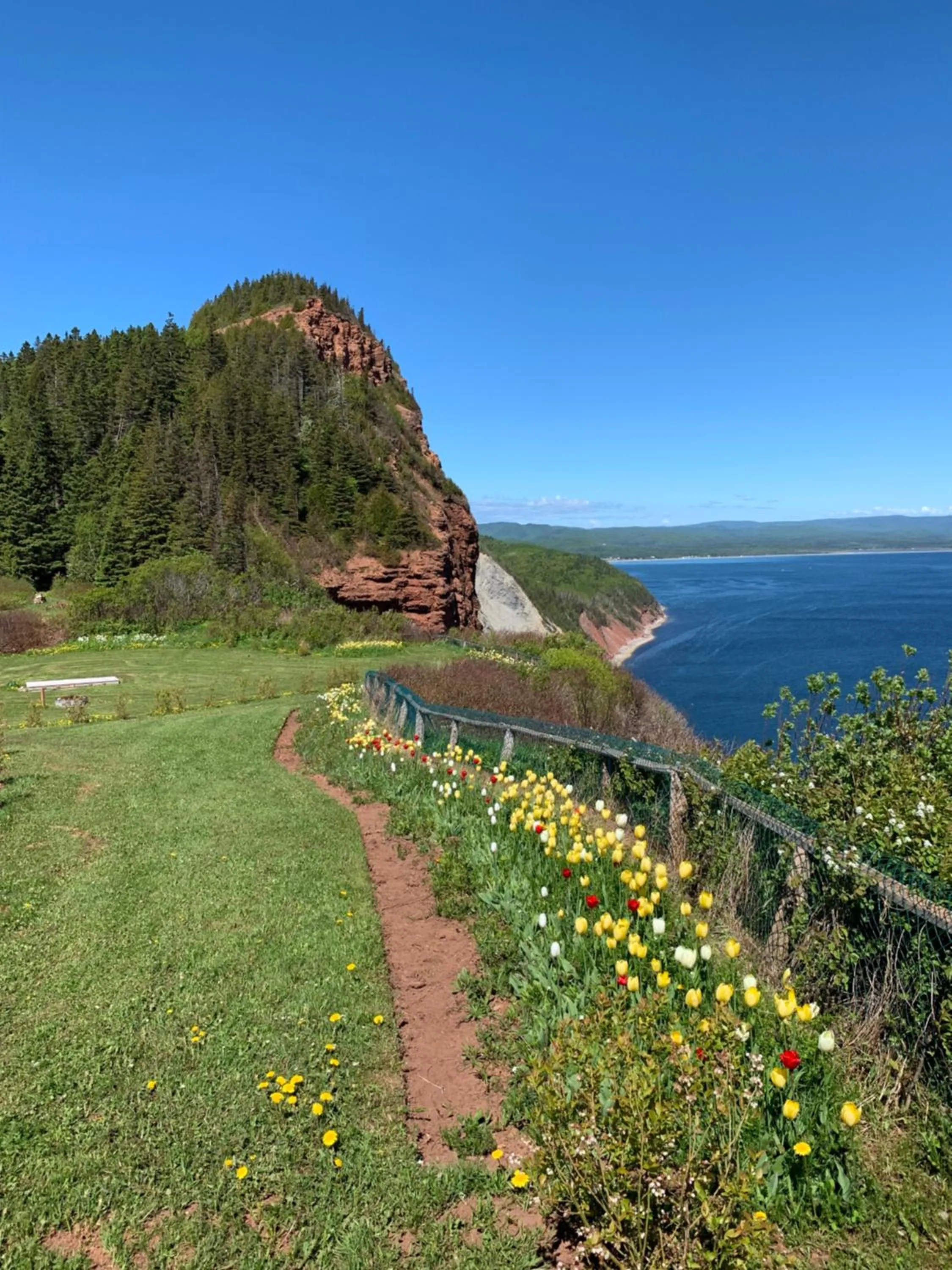 View (from property/room) in Au Pic de l'Aurore Motel-Chalets