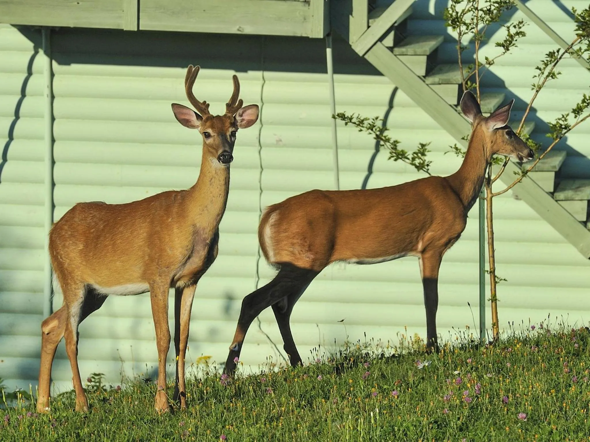 Other in Au Pic de l'Aurore Motel-Chalets