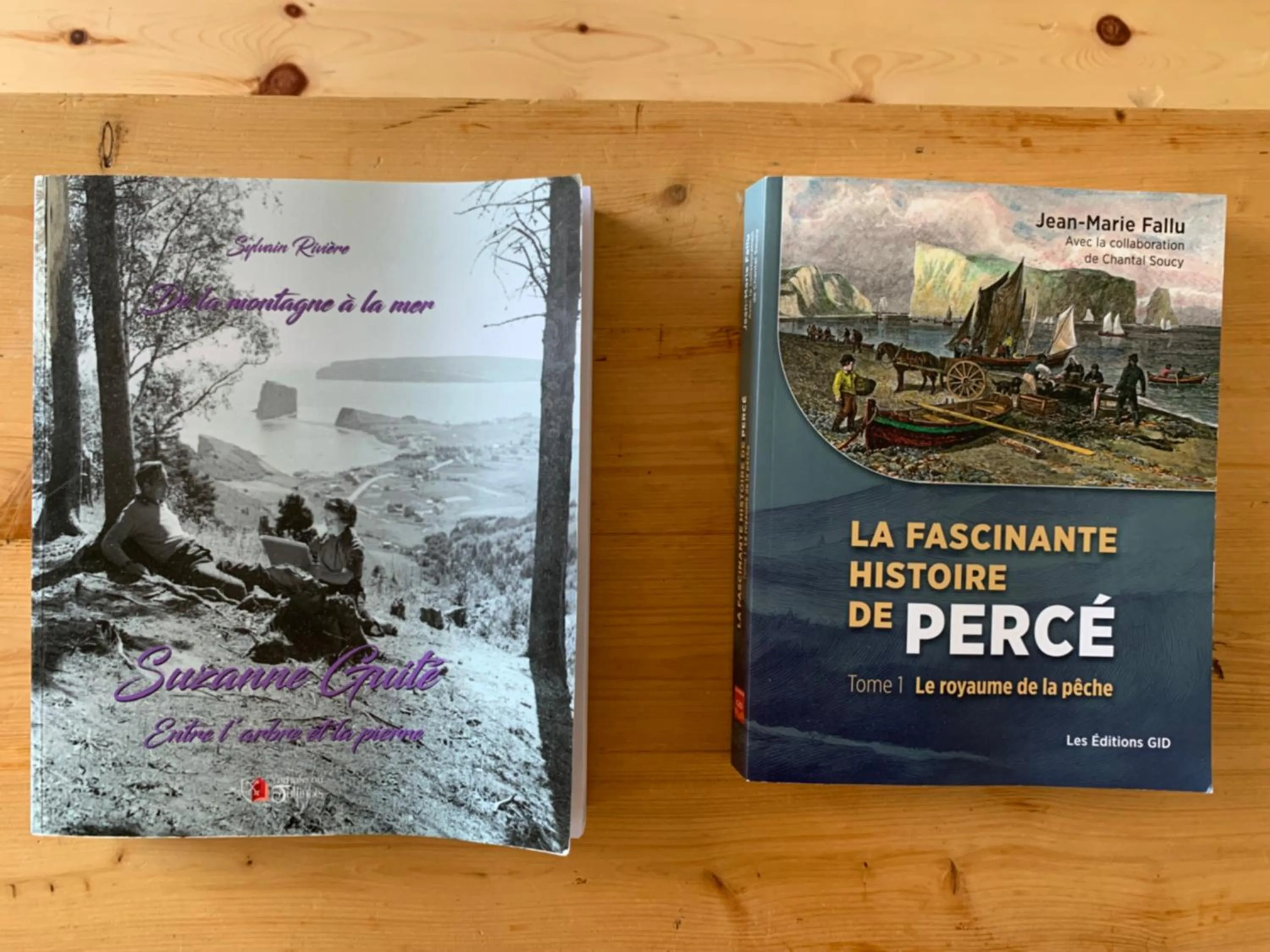 Decorative detail in Au Pic de l'Aurore Motel-Chalets