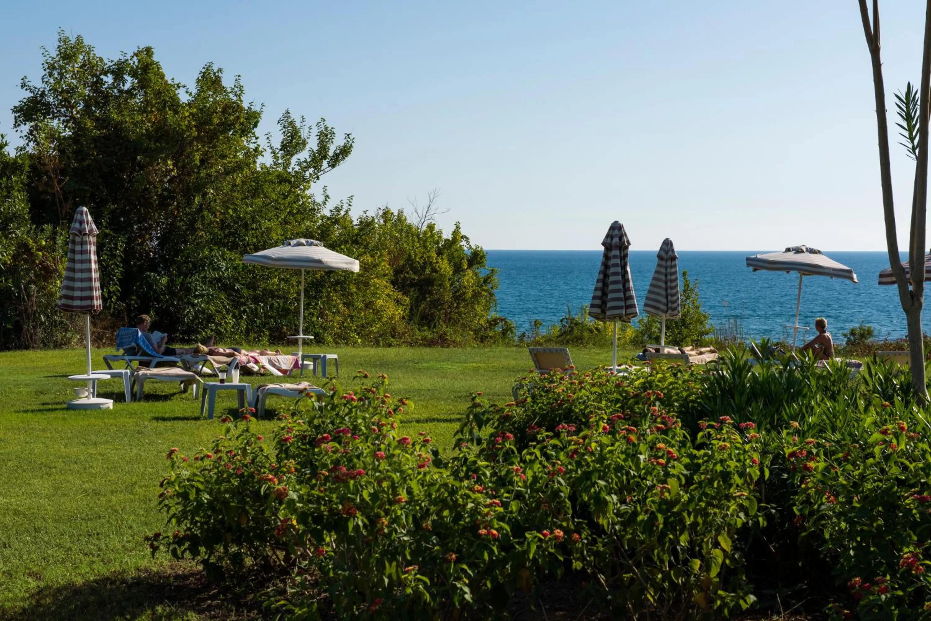 Garden in Side Star Resort Hotel - Ultra All Inclusive