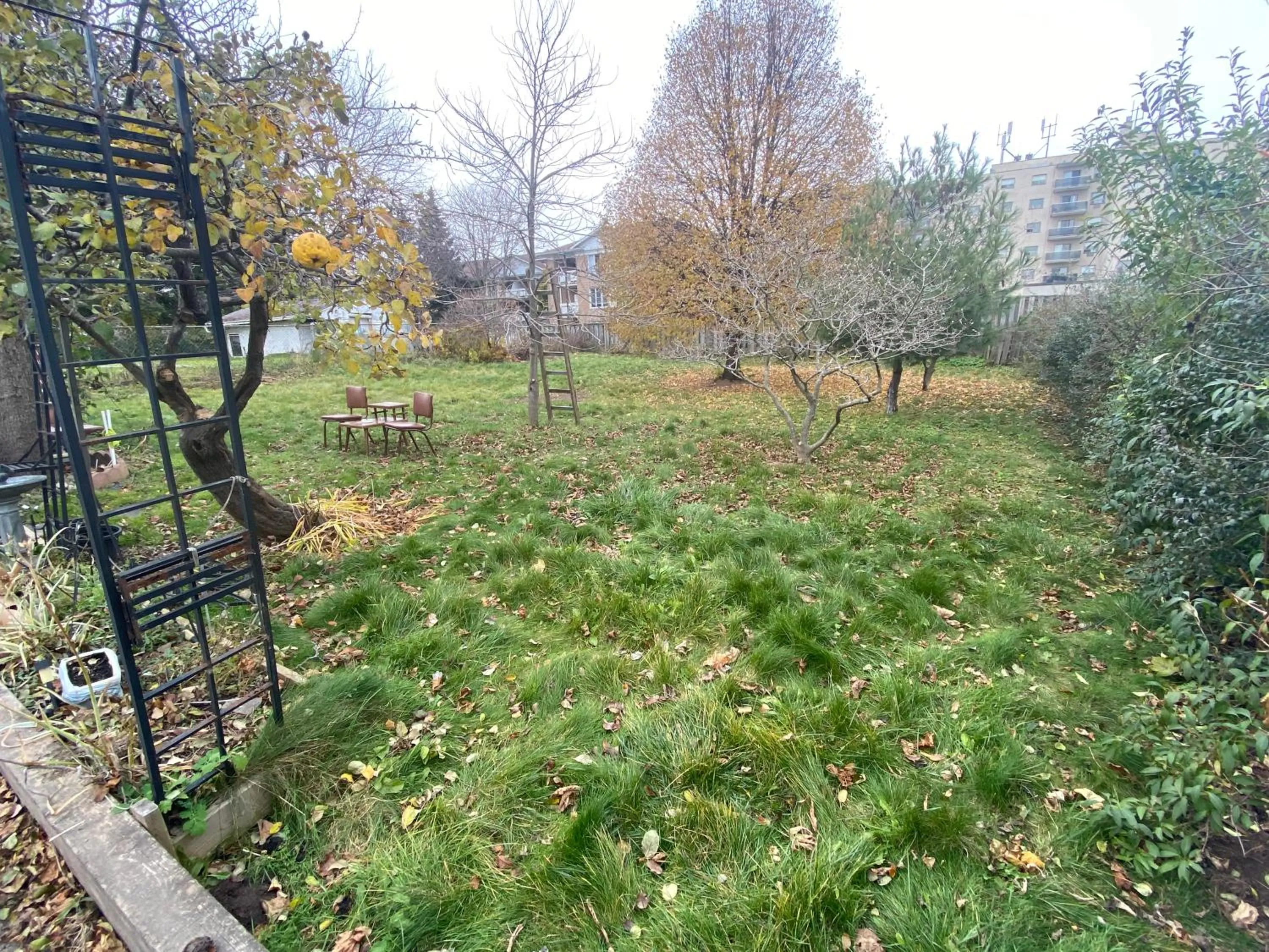 Garden in Anna's Bed & Breakfast