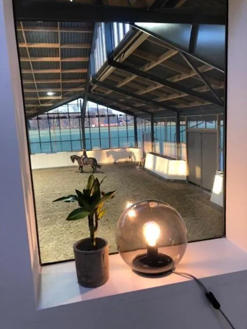 Flyingehus Gårdshotell