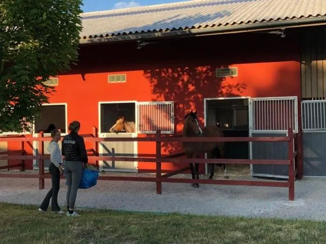 Animals in Flyingehus Gårdshotell